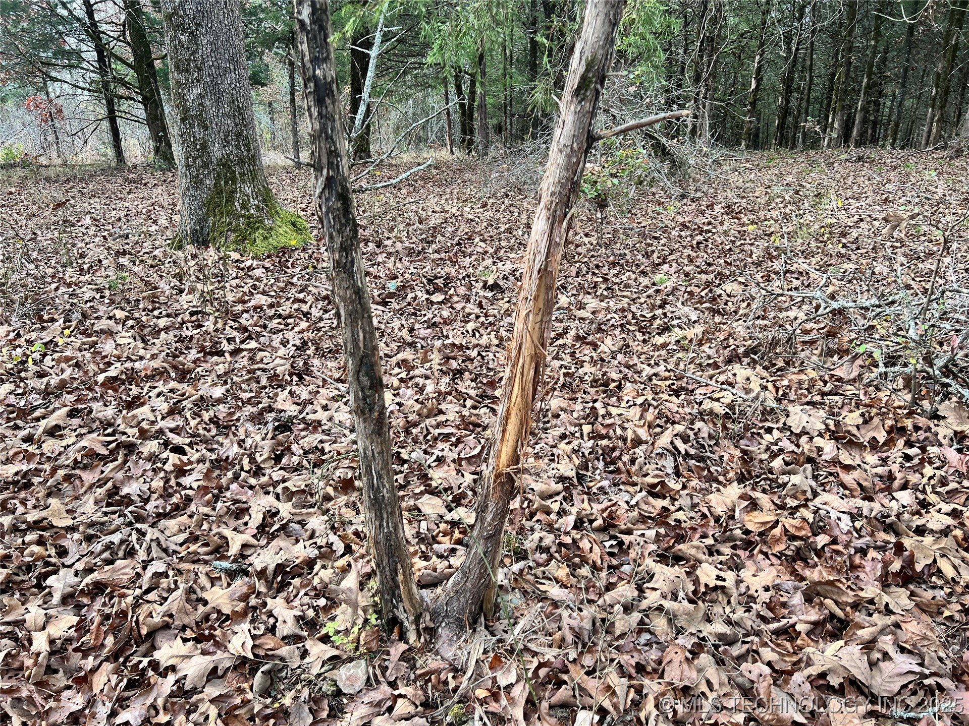 0000 S 4800 Road Property Photo 19