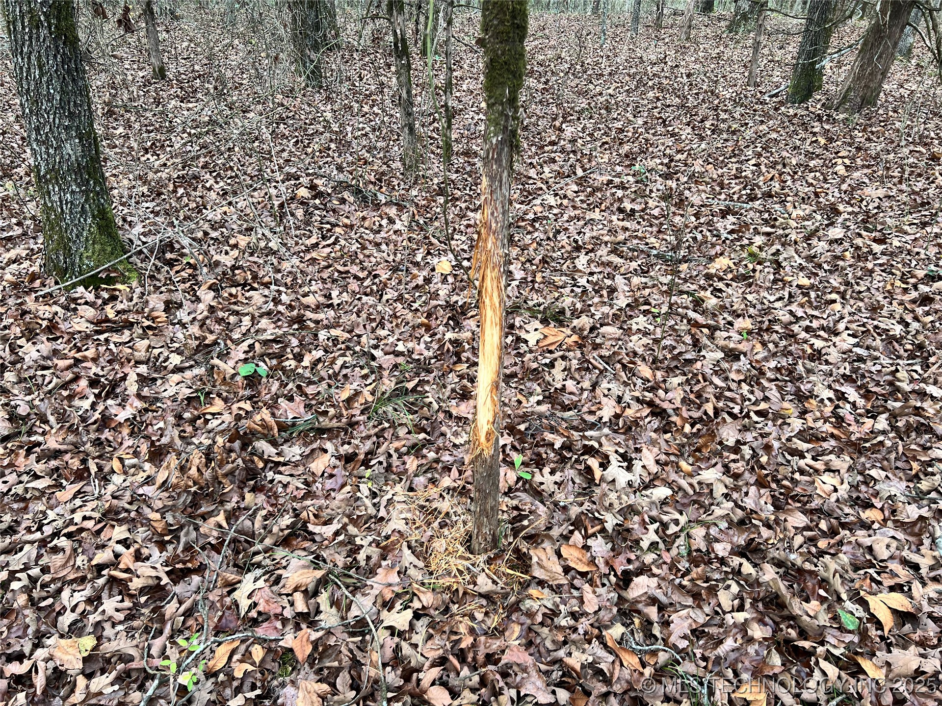 0000 S 4800 Road Property Photo 20