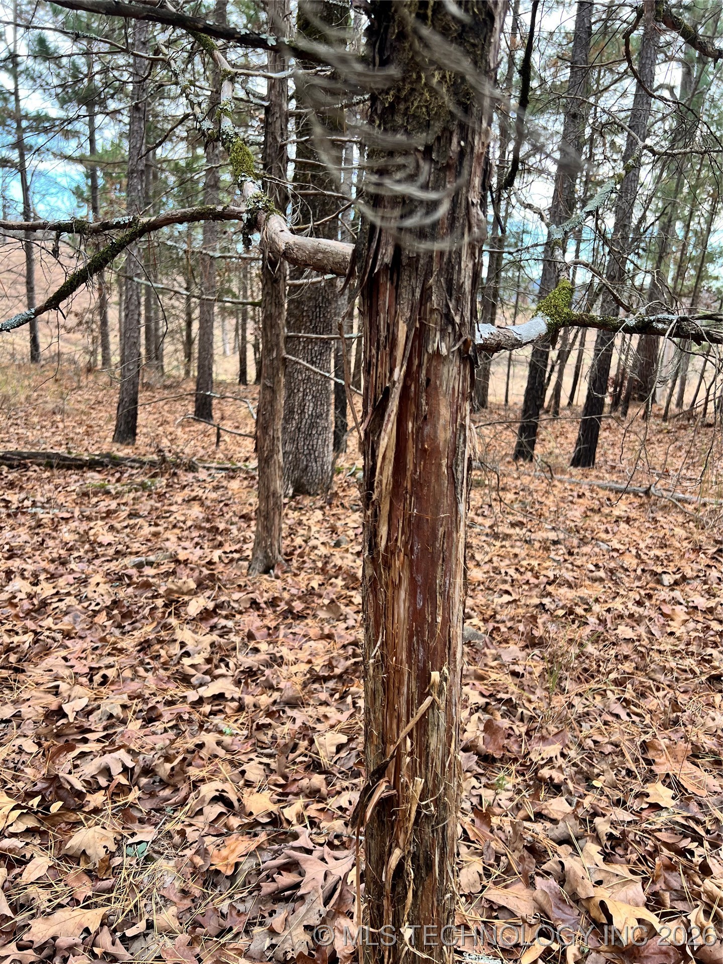 0000 S 4800 Road Property Photo 21