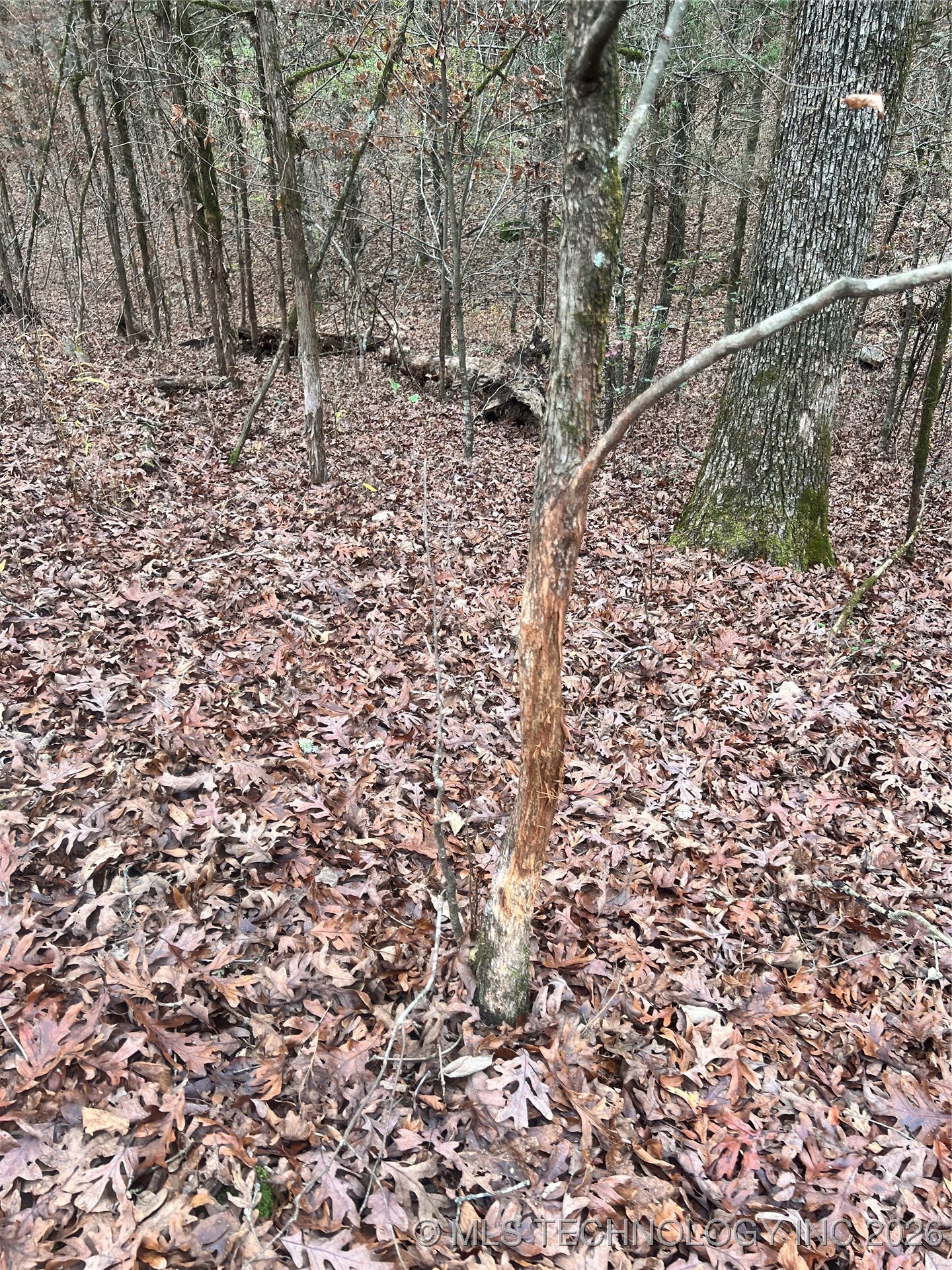 0000 S 4800 Road Property Photo 22