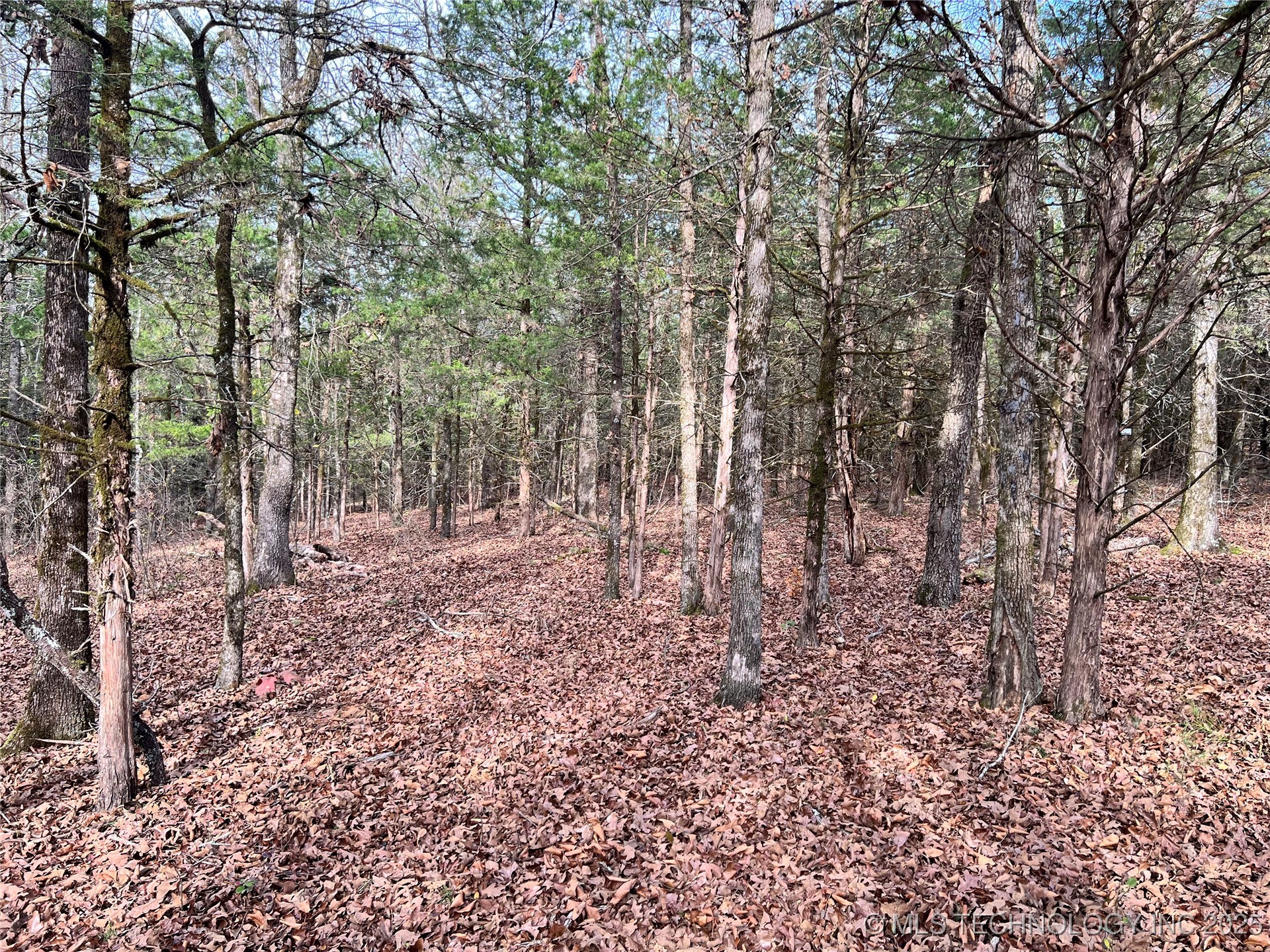 0000 S 4800 Road Property Photo 24