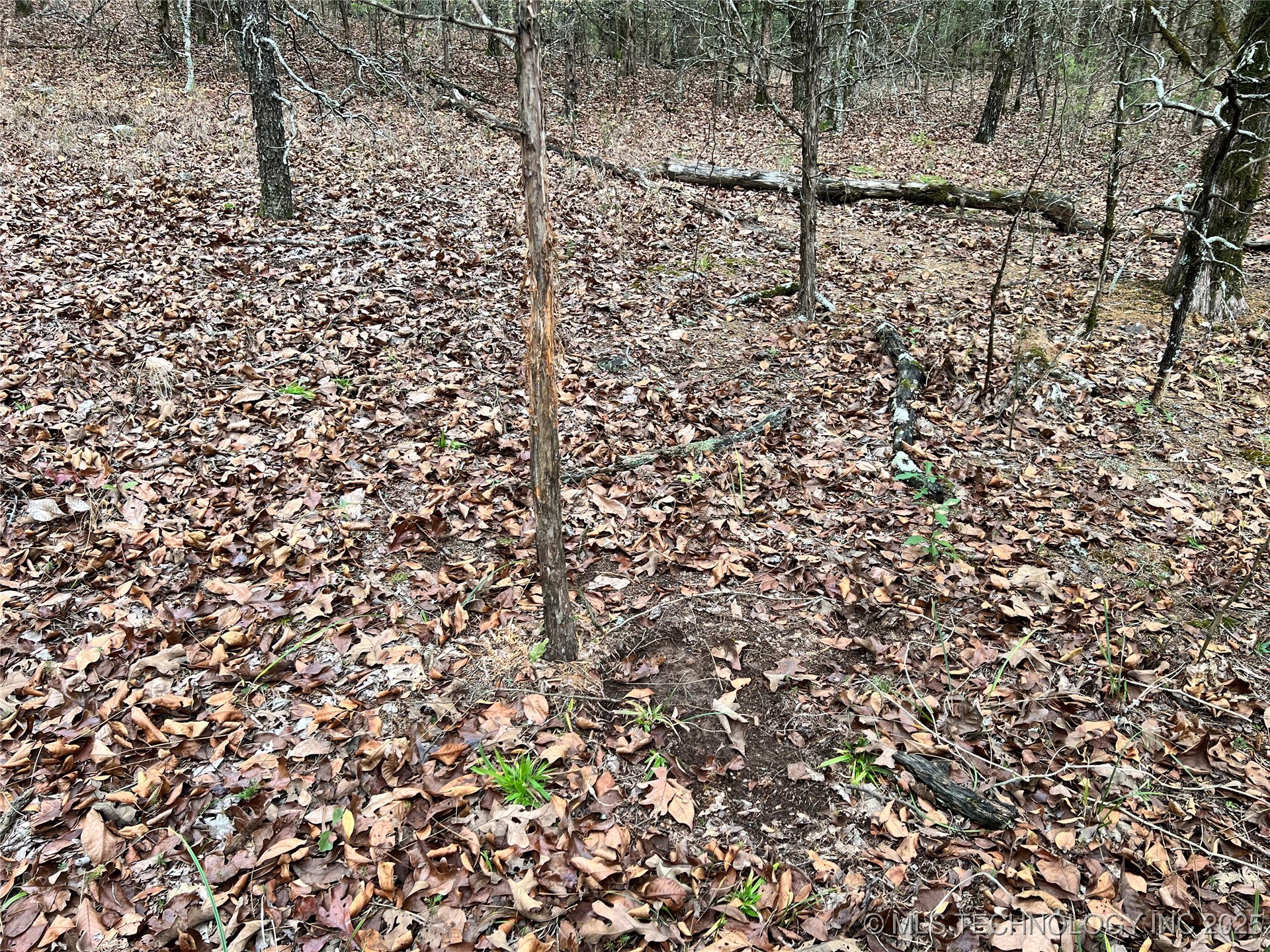 0000 S 4800 Road Property Photo 36