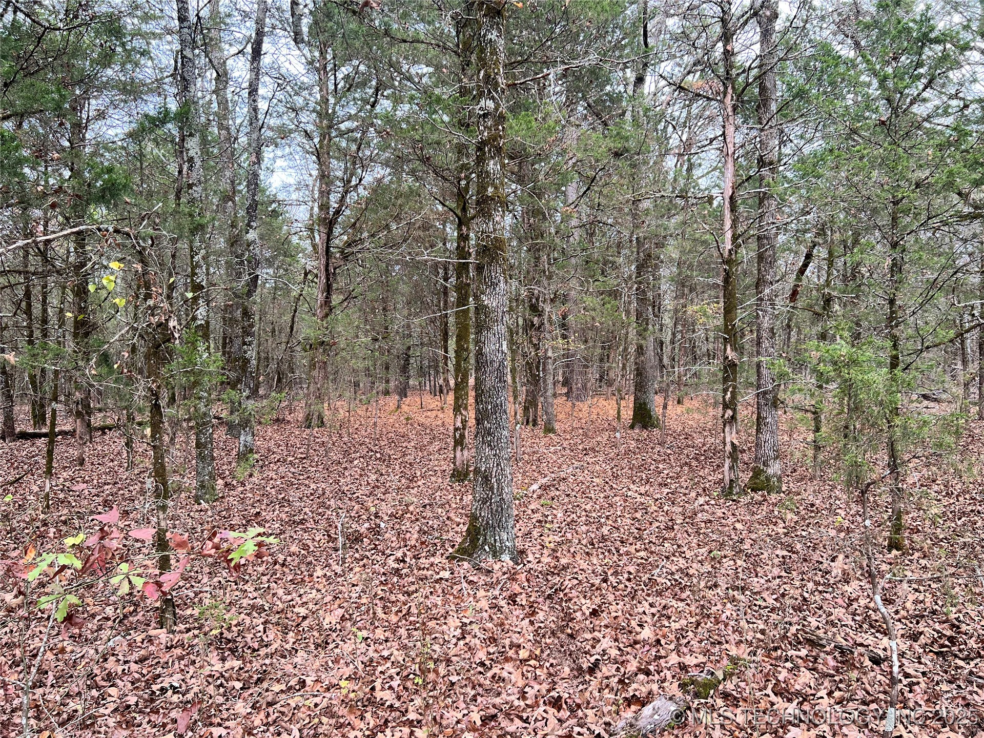 0000 S 4800 Road Property Photo 37