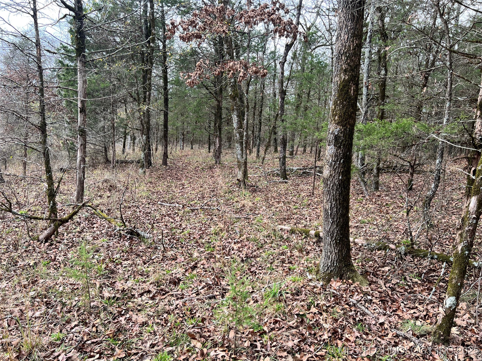 0000 S 4800 Road Property Photo 38