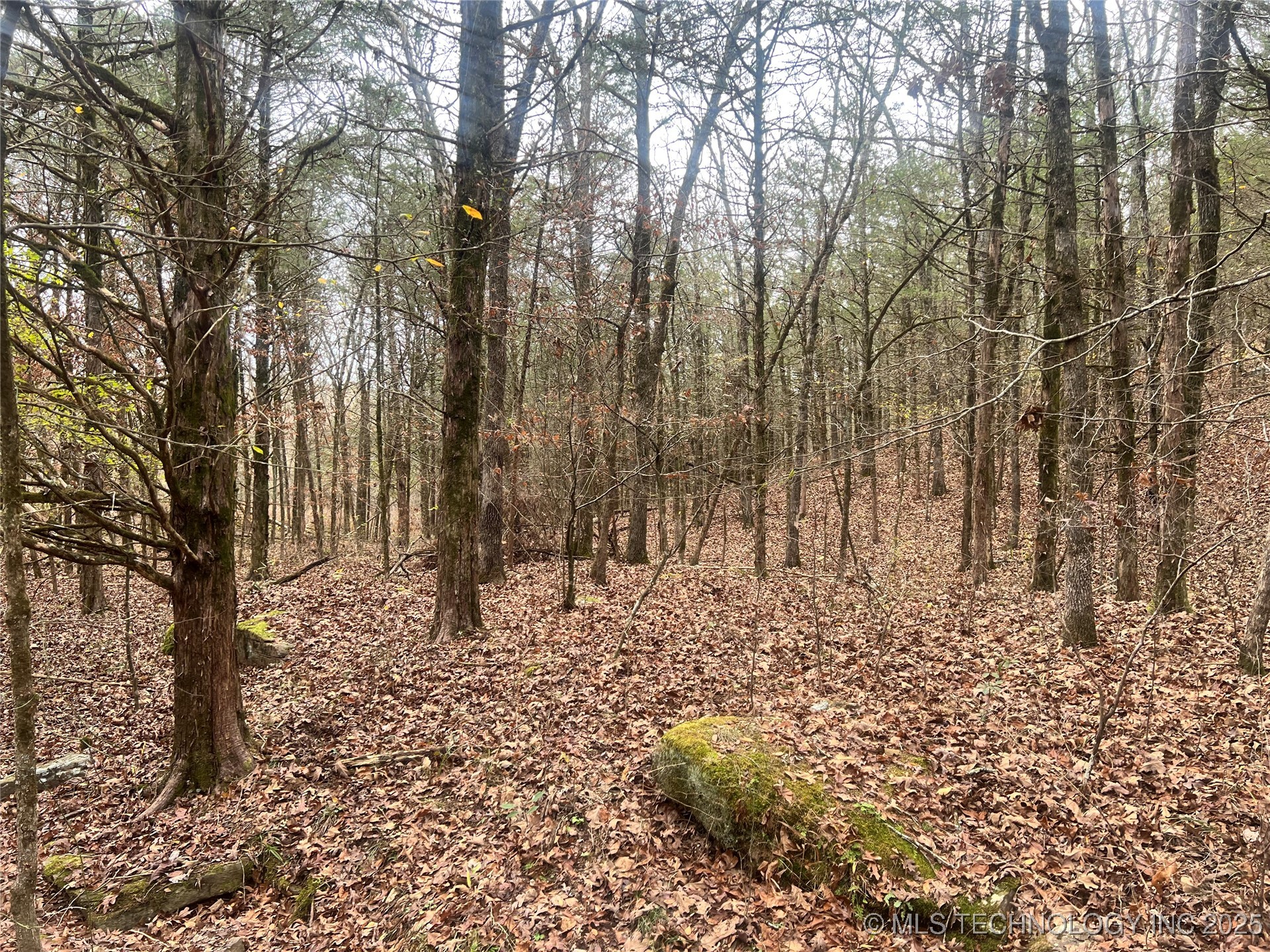 0000 S 4800 Road Property Photo 41