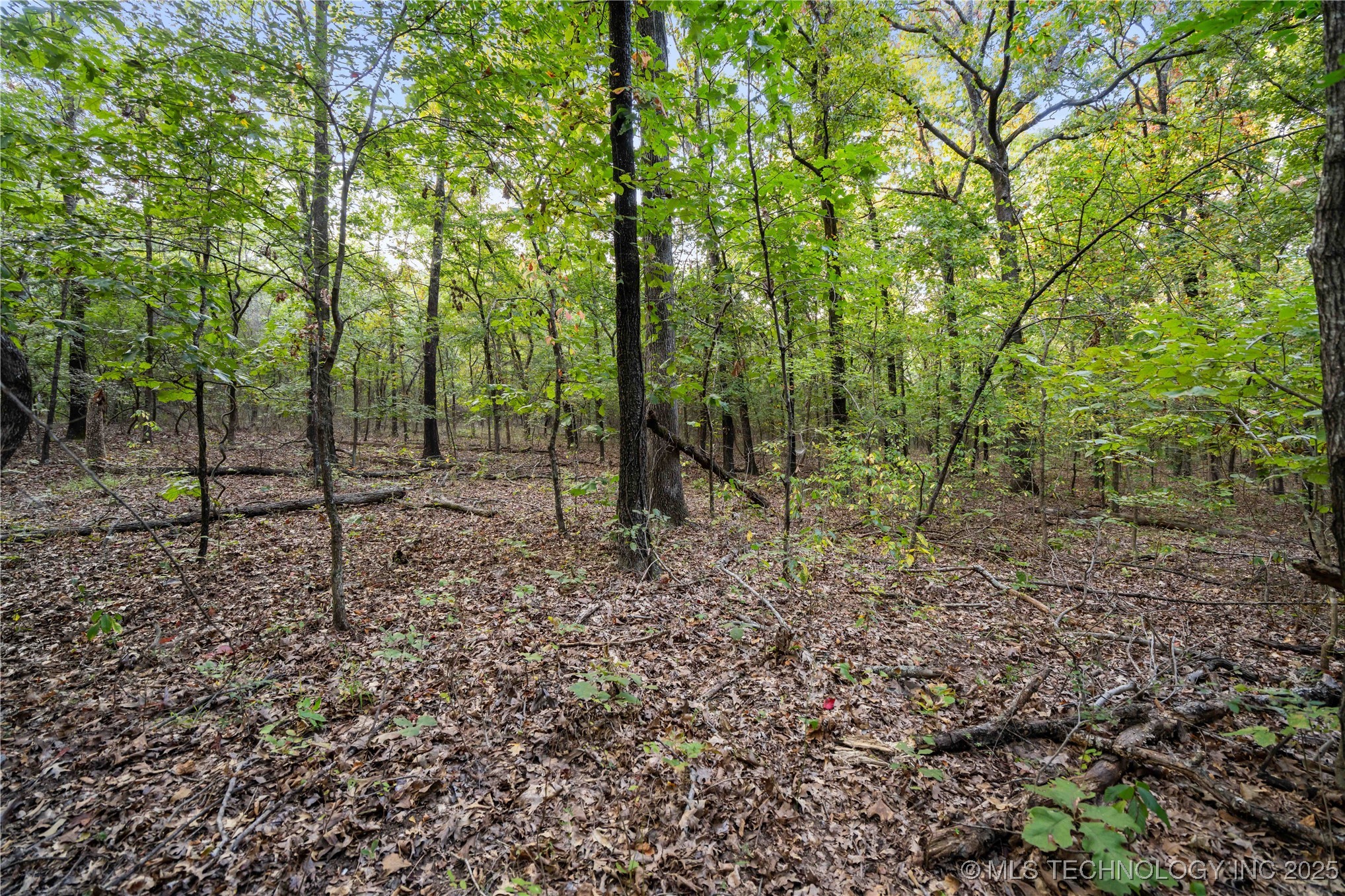 00168 N 4400 Road Property Photo 5