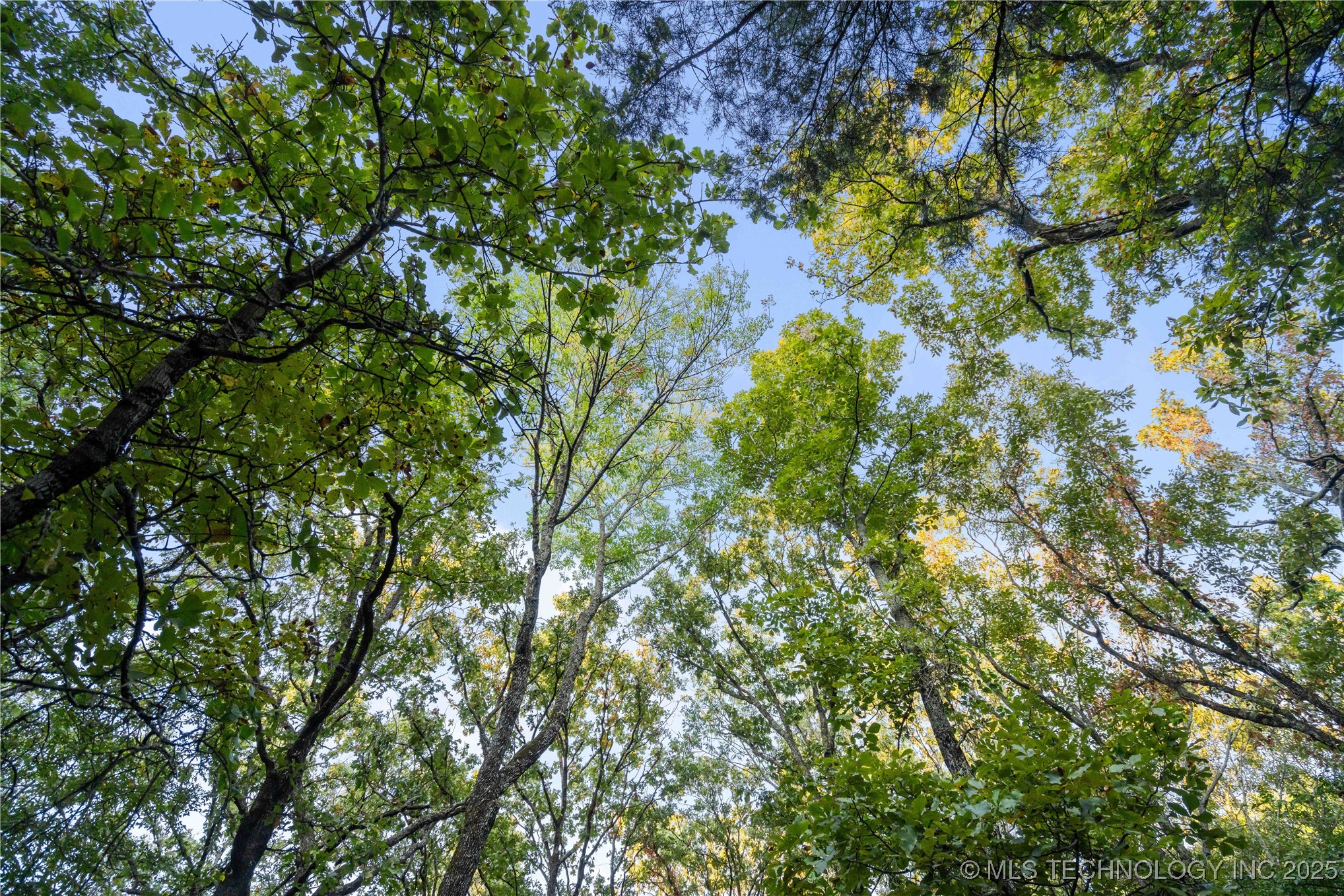 00168 N 4400 Road Property Photo 6