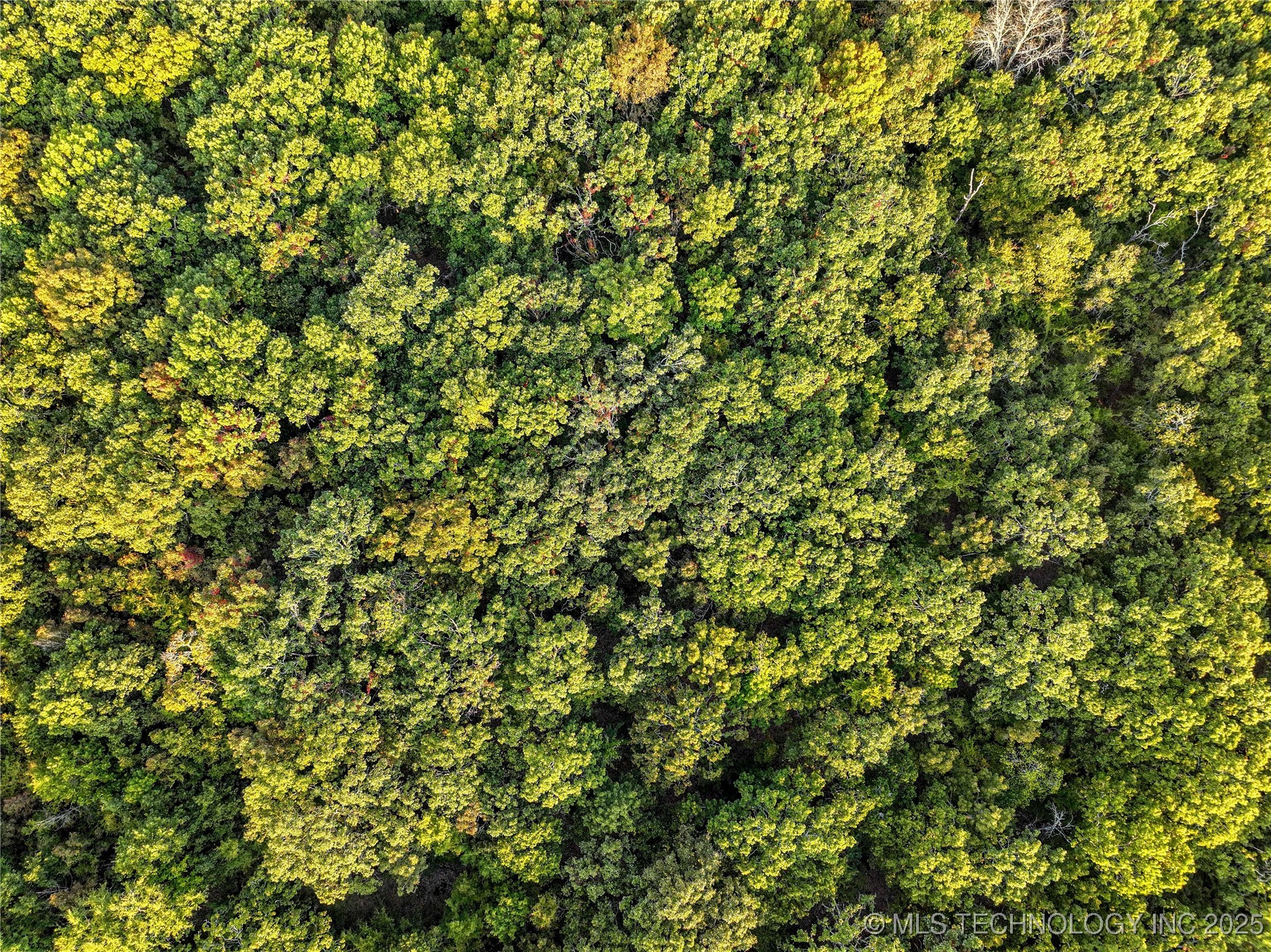 00168 N 4400 Road Property Photo 7