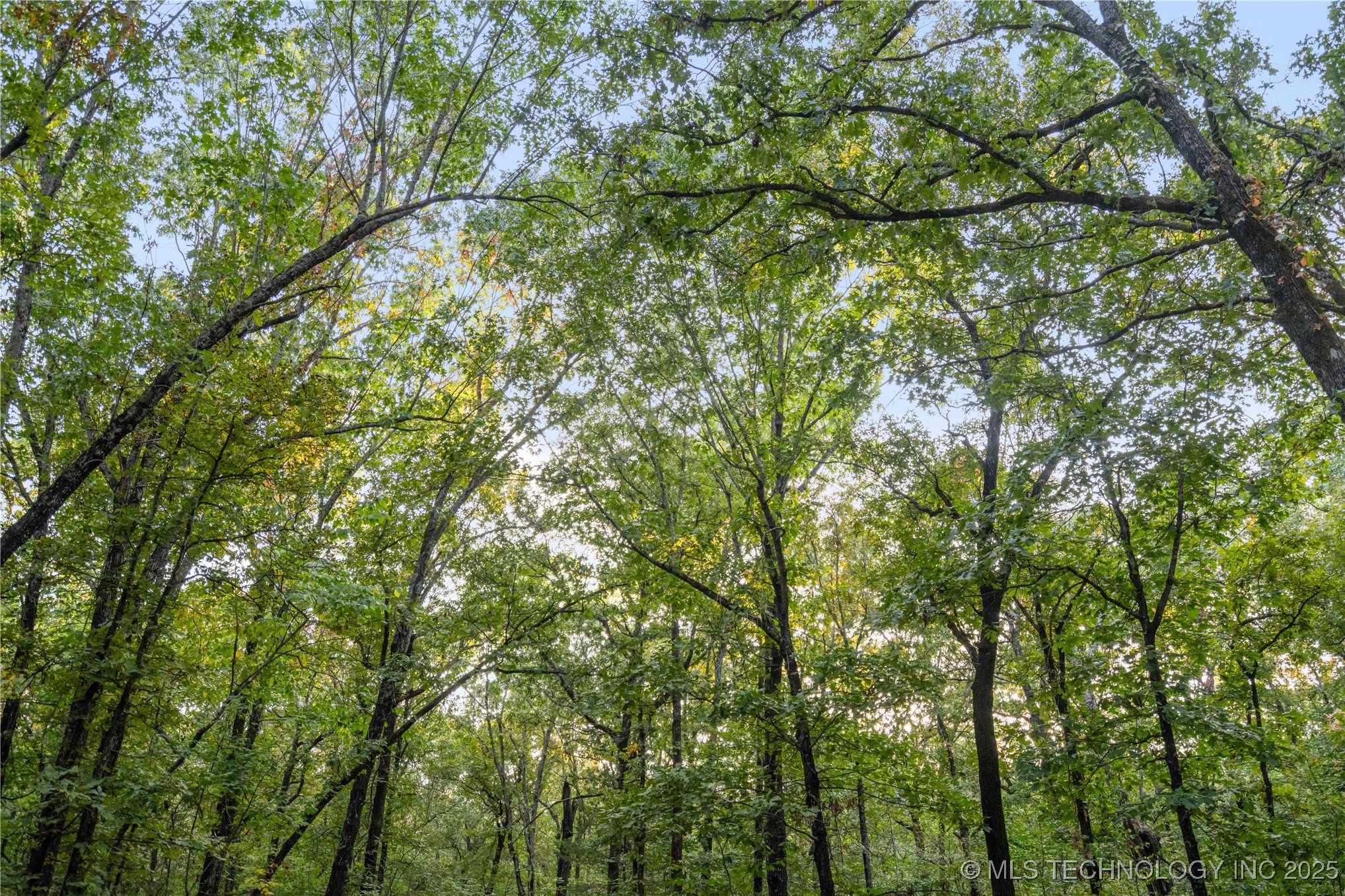 00168 N 4400 Road Property Photo 22