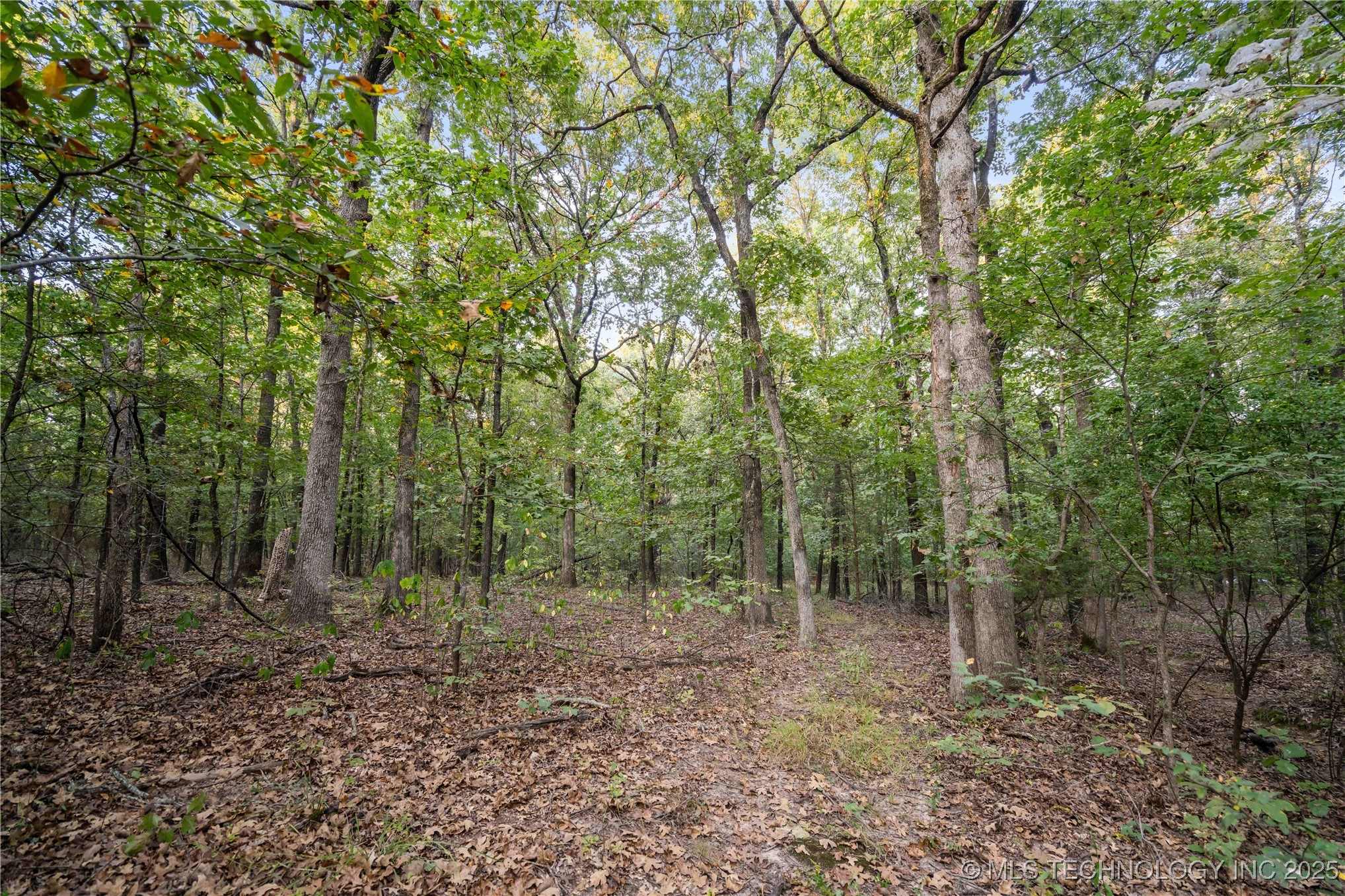 00168 N 4400 Road Property Photo 23