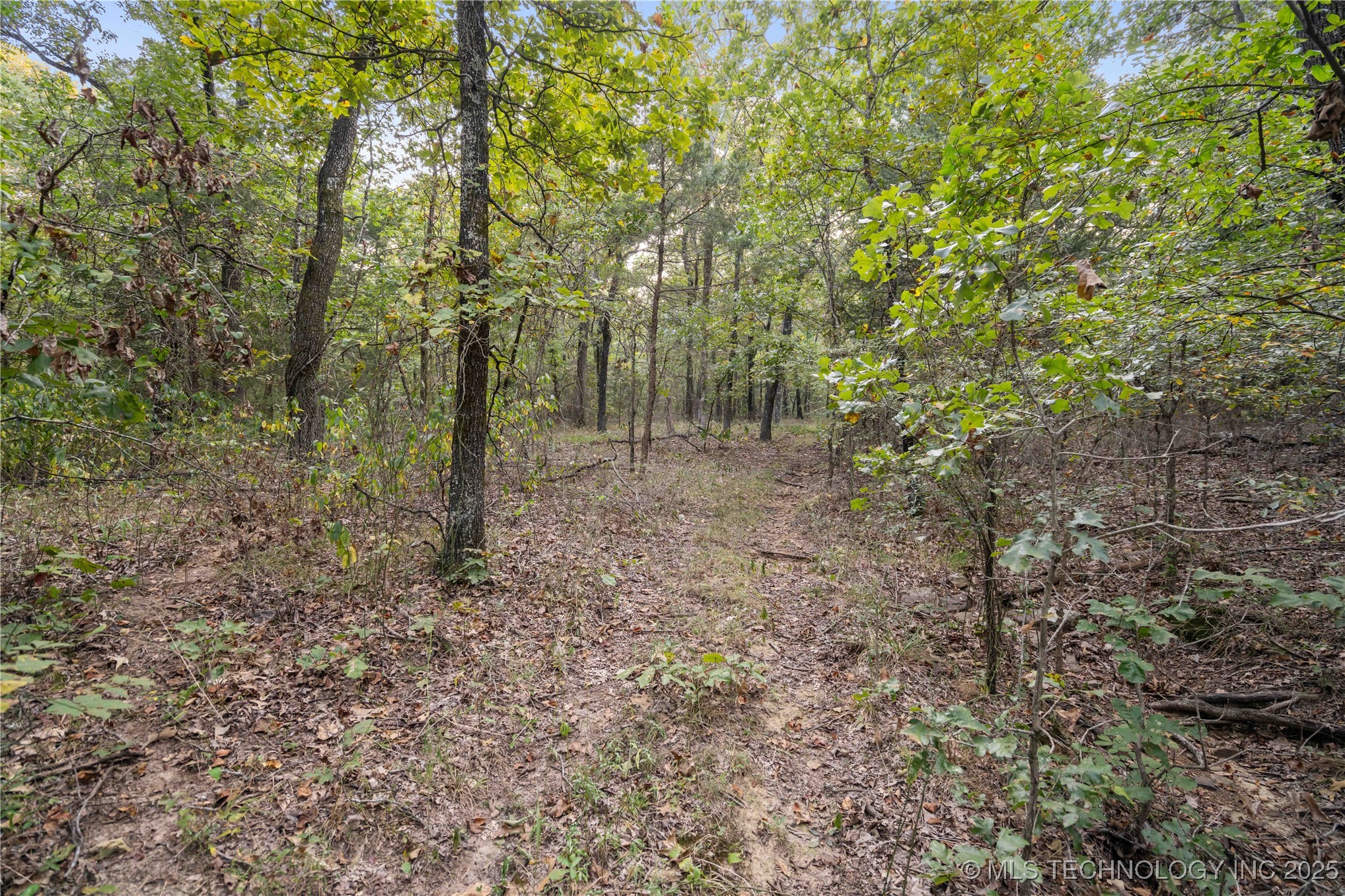 00168 N 4400 Road Property Photo 24