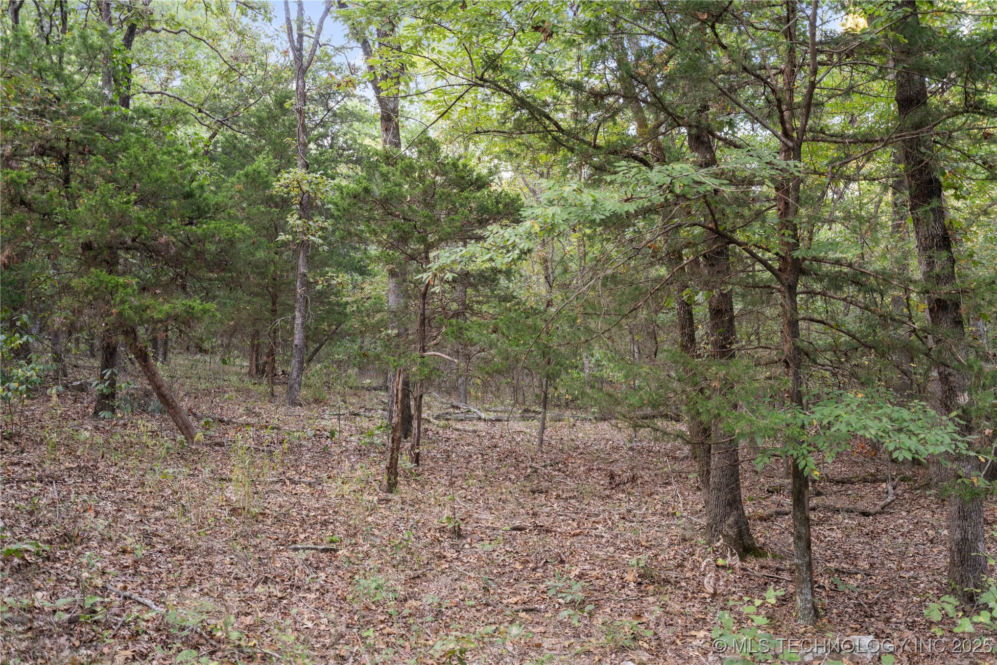 00168 N 4400 Road Property Photo 25
