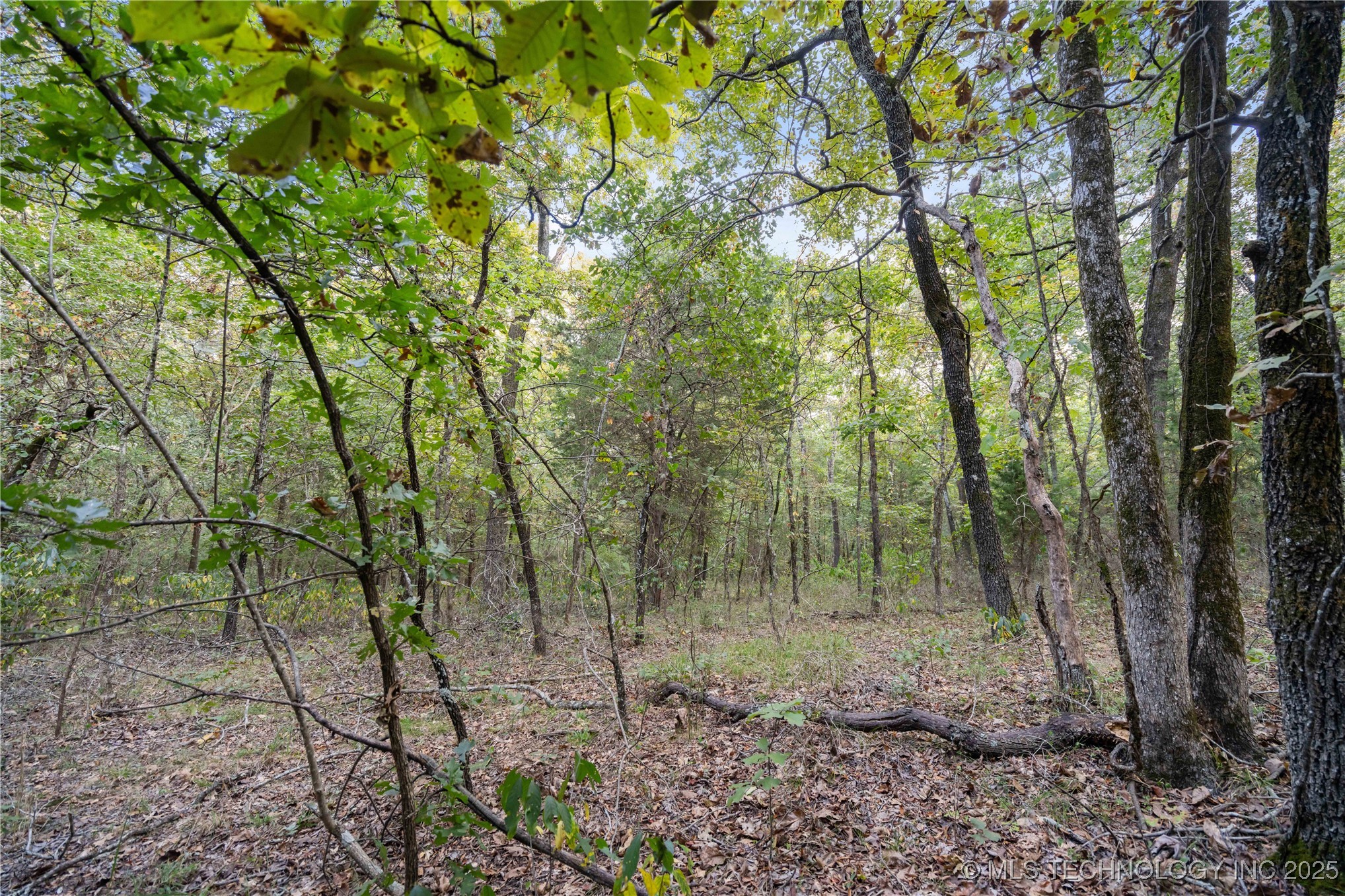 00168 N 4400 Road Property Photo 26