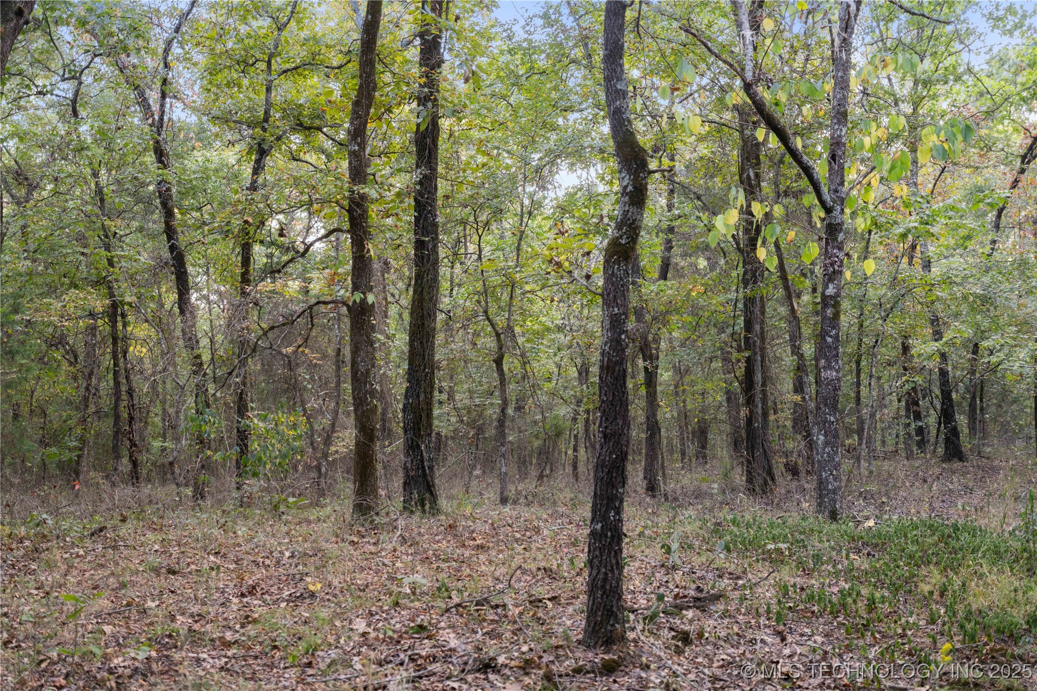 00168 N 4400 Road Property Photo 27