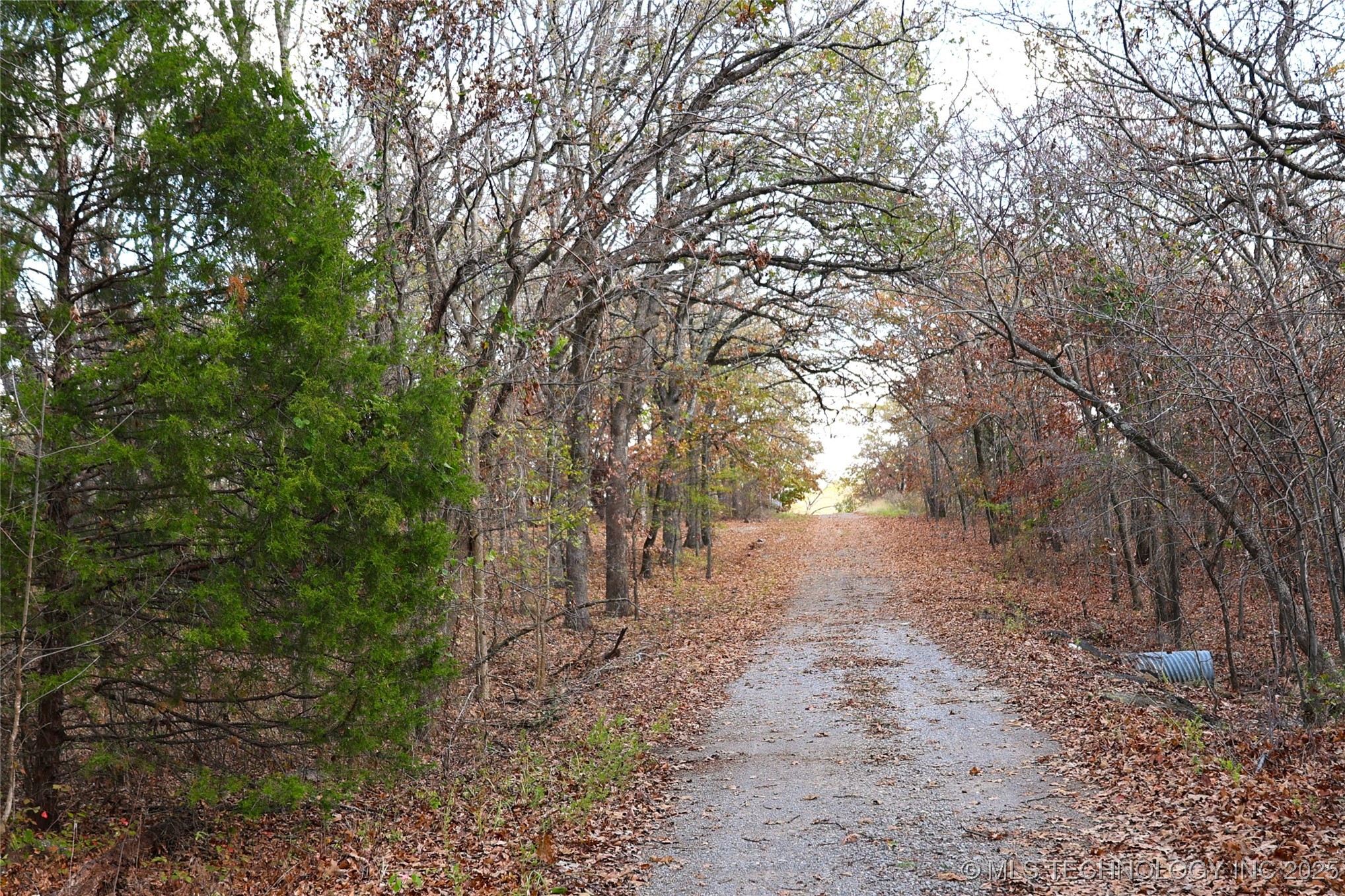 E 700 Drive Property Photo 5