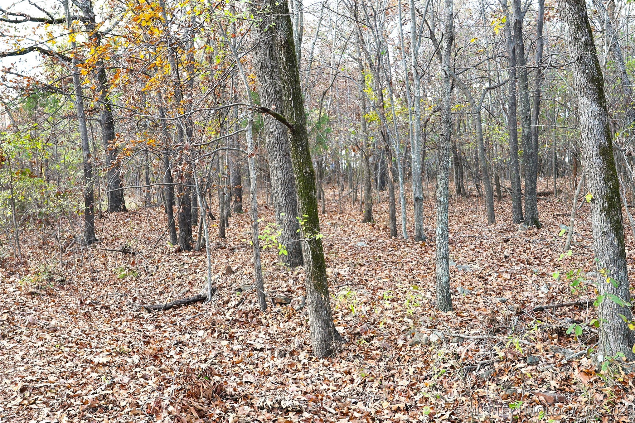 E 700 Drive Property Photo 6