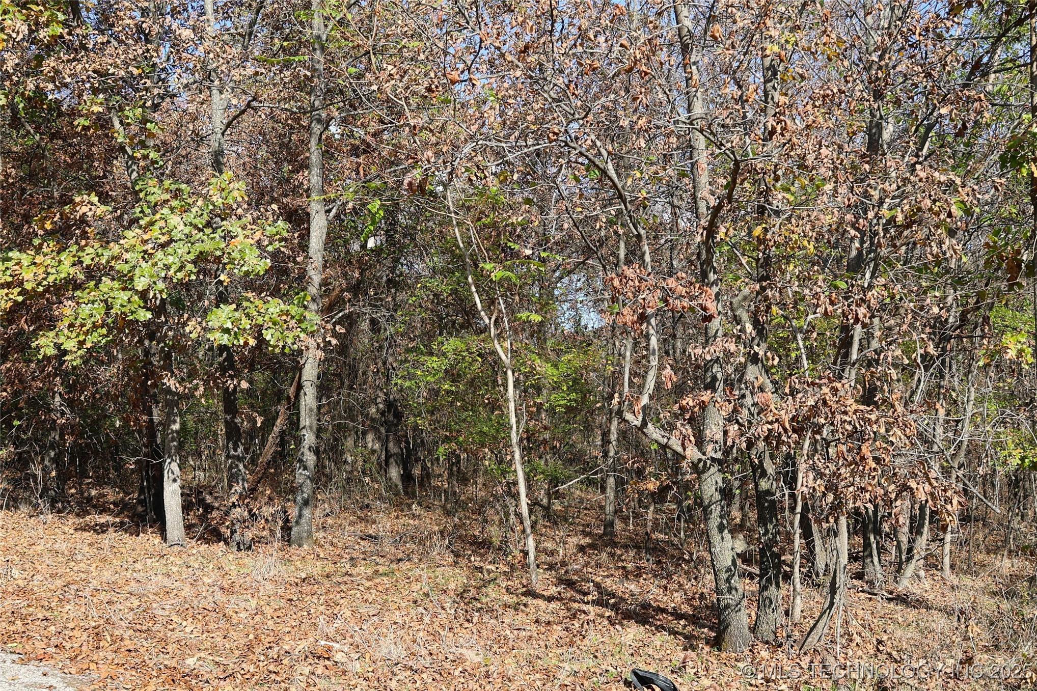 E 700 Drive Property Photo 9