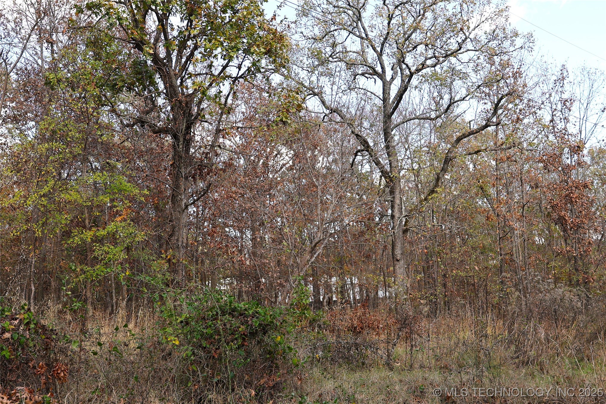 E 700 Drive Property Photo 12