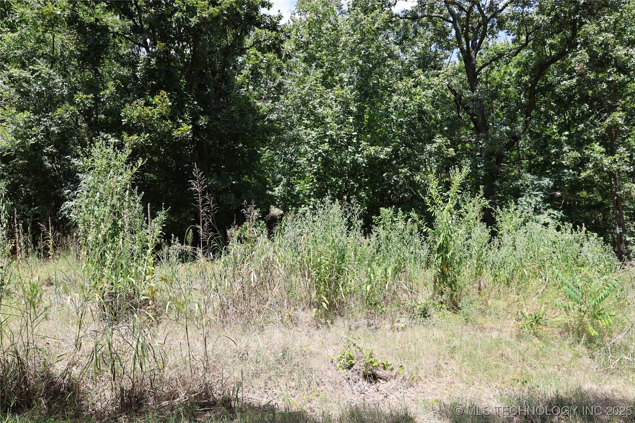 E 700 Drive Property Photo 14