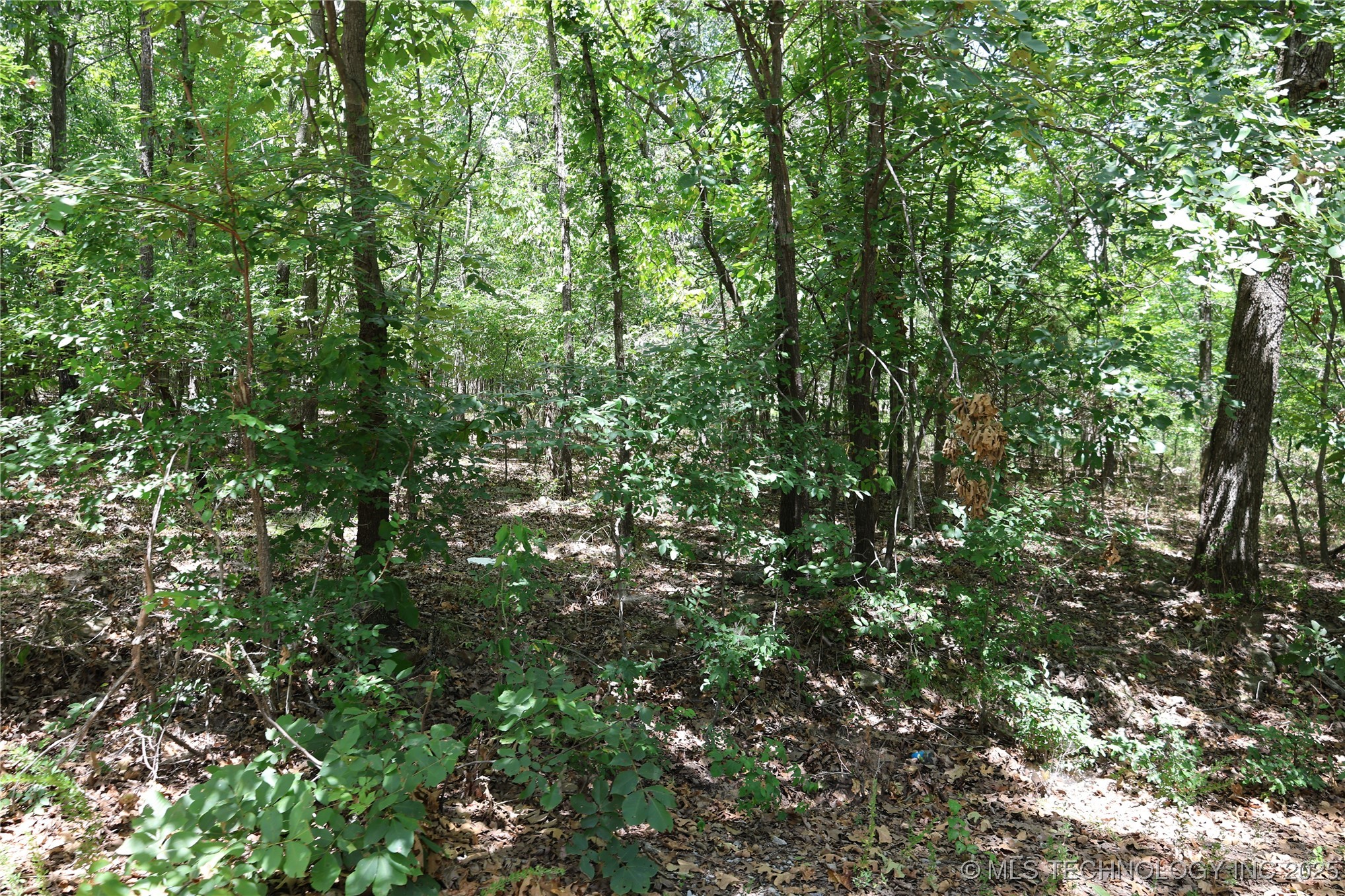 E 700 Drive Property Photo 16