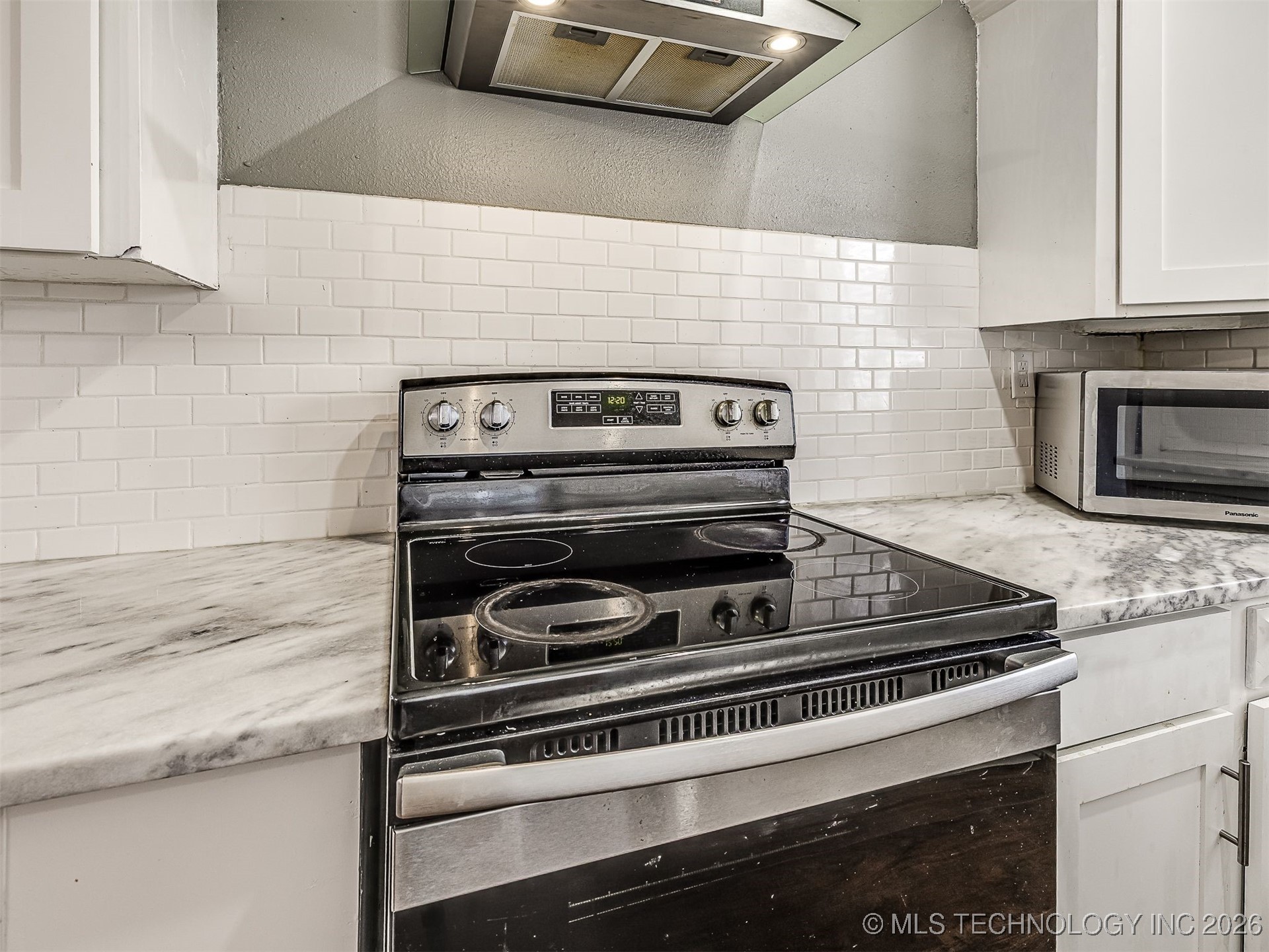 1227 S Richmond Avenue Property Photo 18