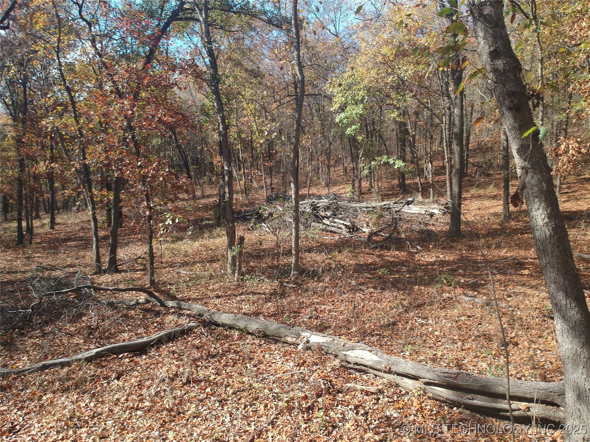 4585 E 266 Highway Property Photo 23