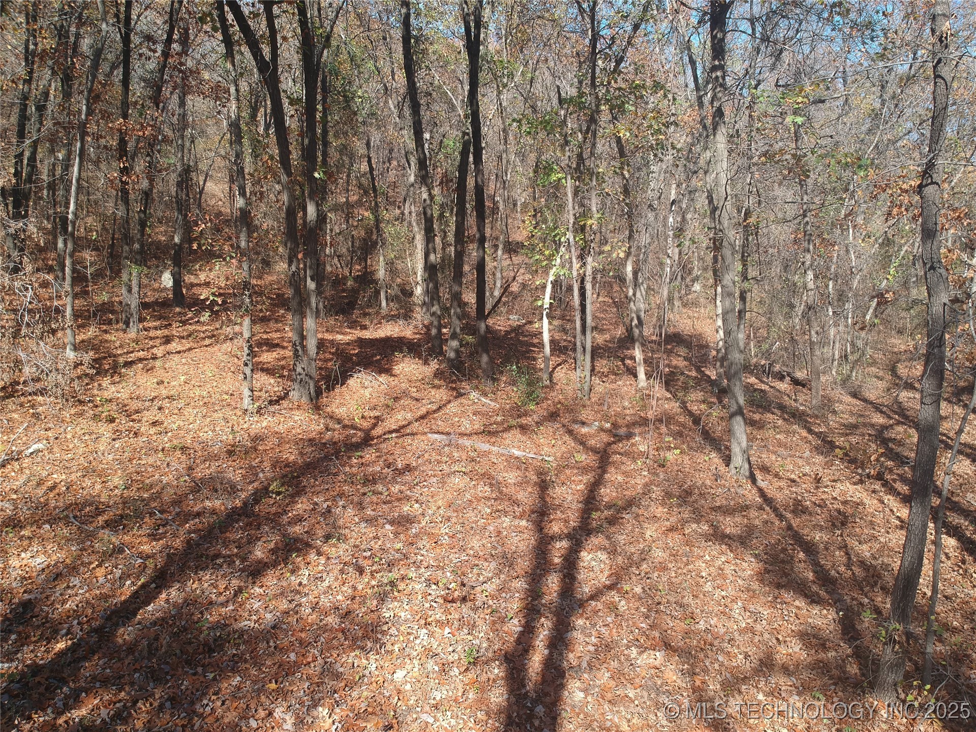 4585 E 266 Highway Property Photo 24