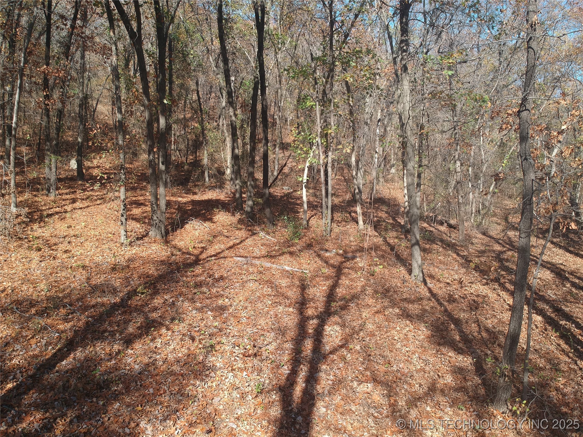 4585 E 266 Highway Property Photo 25