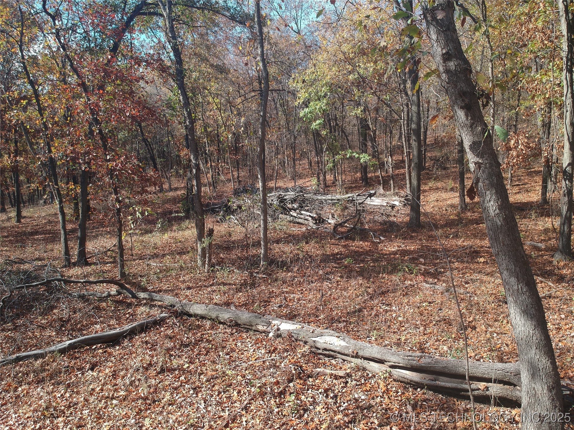 4585 E 266 Highway Property Photo 26