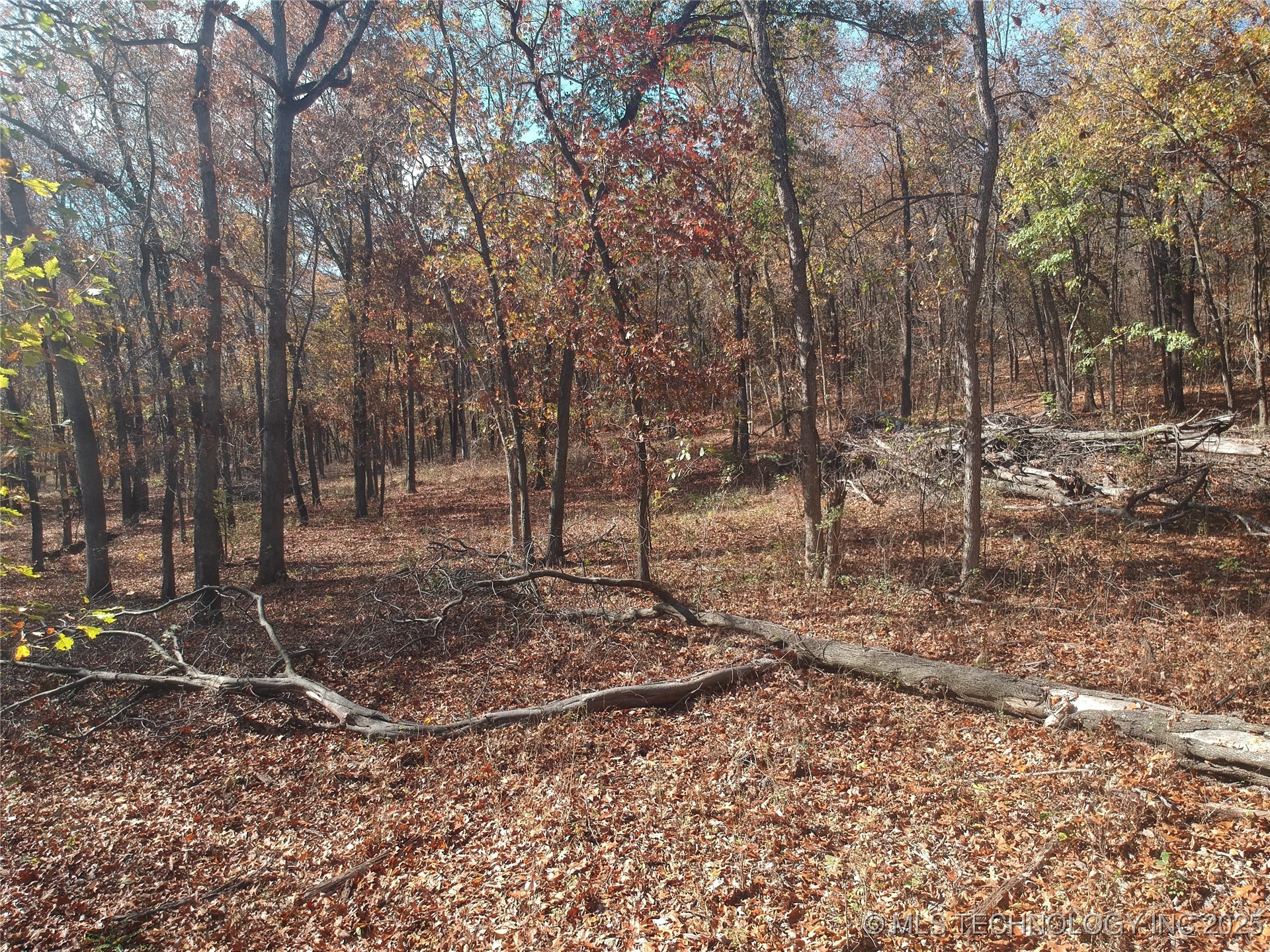 4585 E 266 Highway Property Photo 28