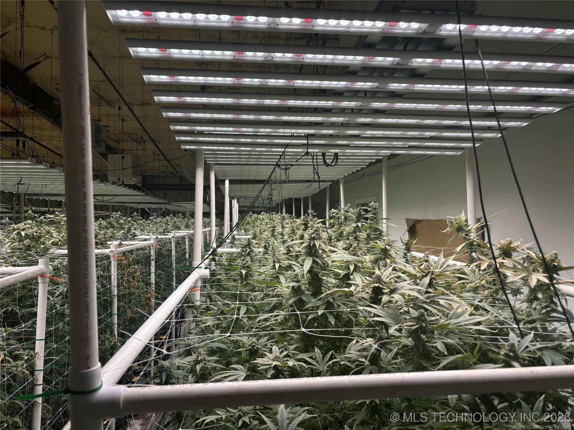 1000 Warmac Street Property Photo 28