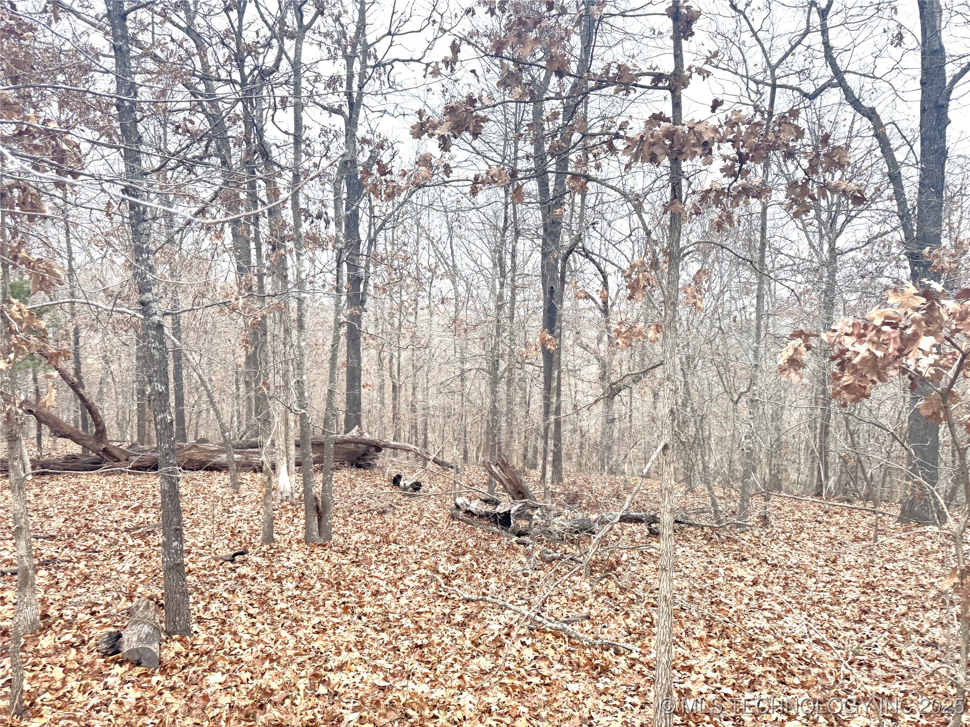 29200 Hampton Ridge Road Property Photo 1