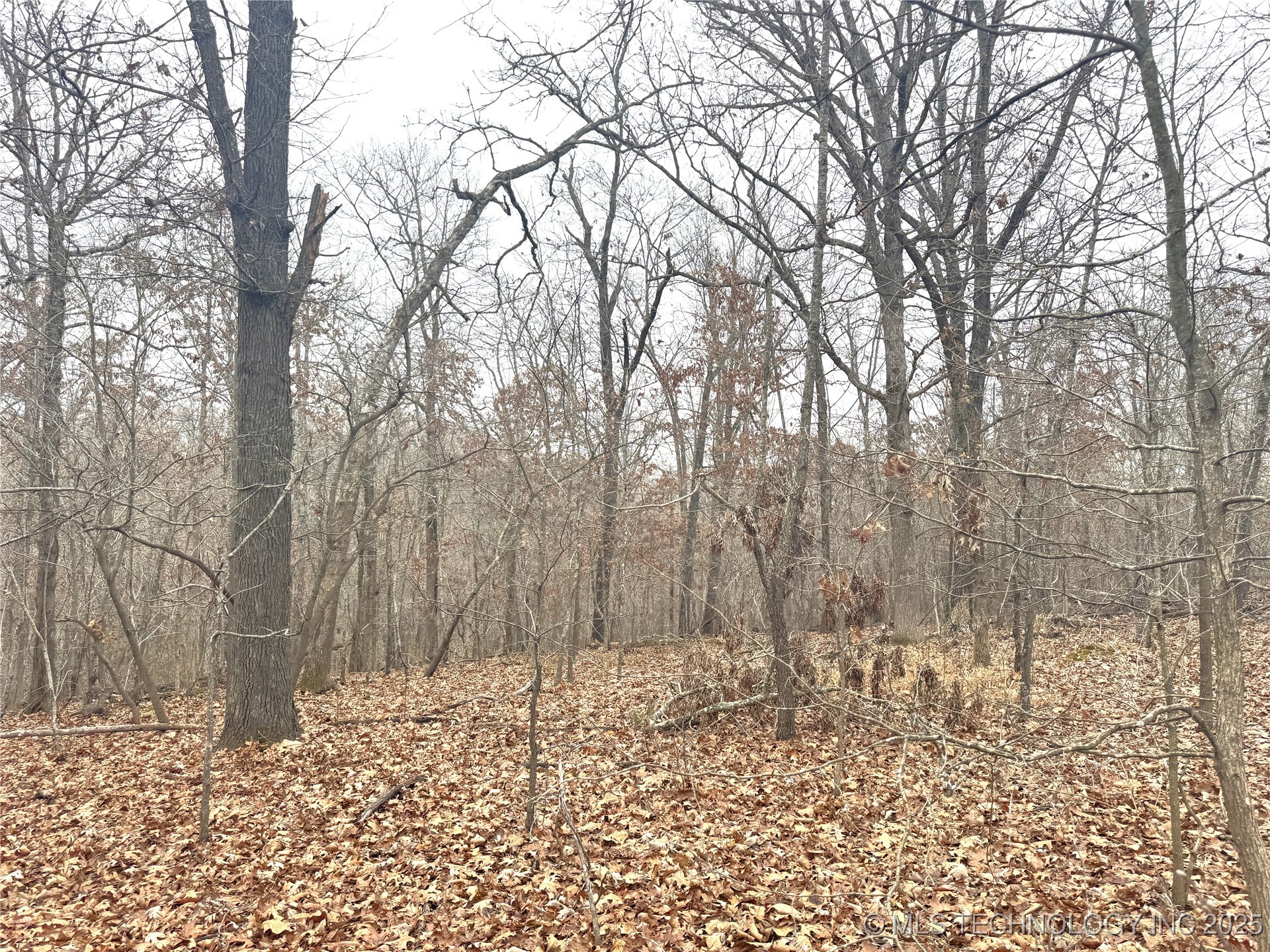 29200 Hampton Ridge Road Property Photo 2