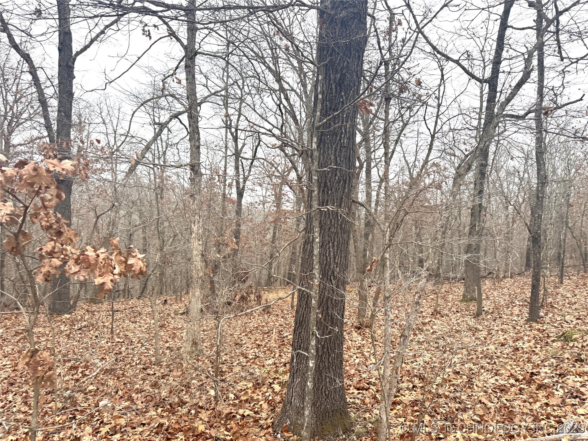 29200 Hampton Ridge Road Property Photo 9