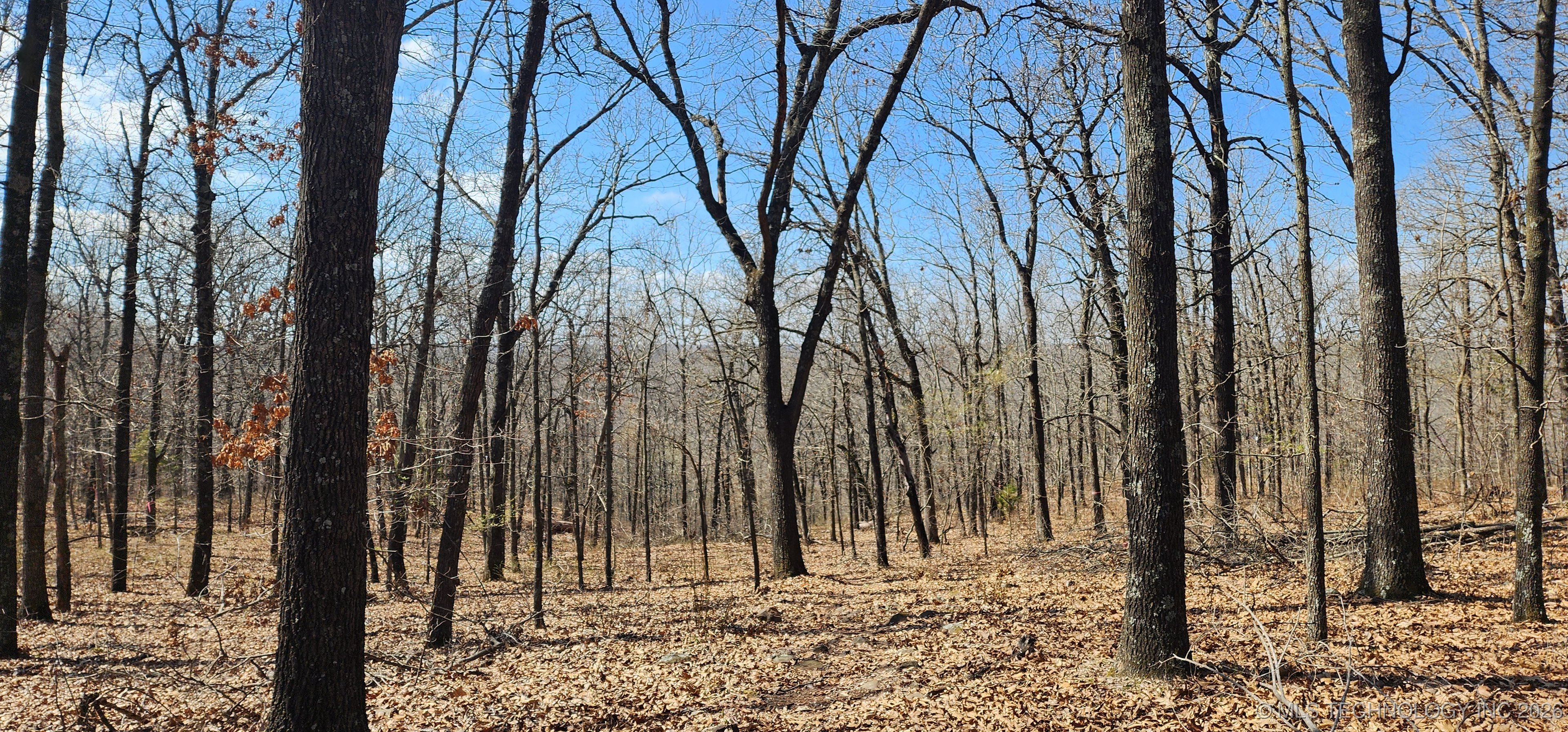 13780 S 4220 Road Property Photo 8