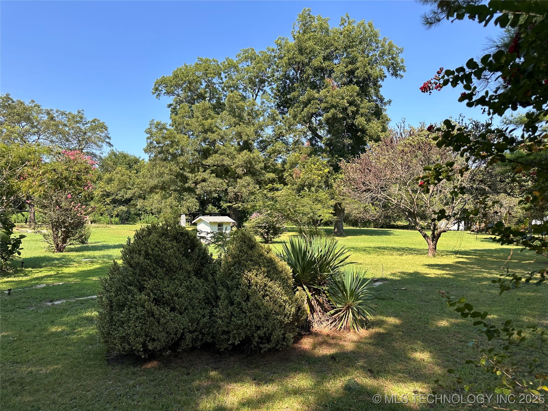 220 N Collins Property Photo 4