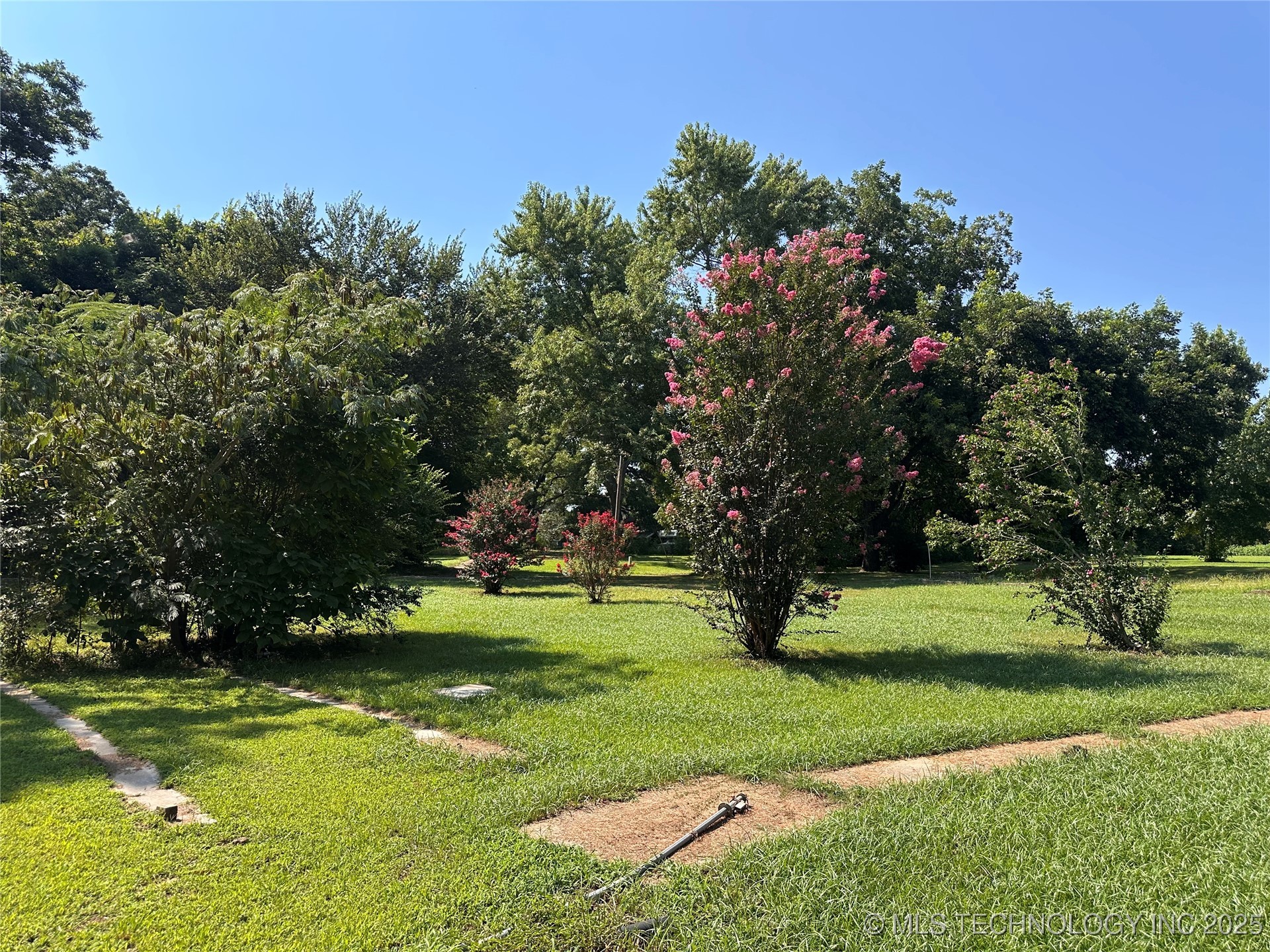 220 N Collins Property Photo 5