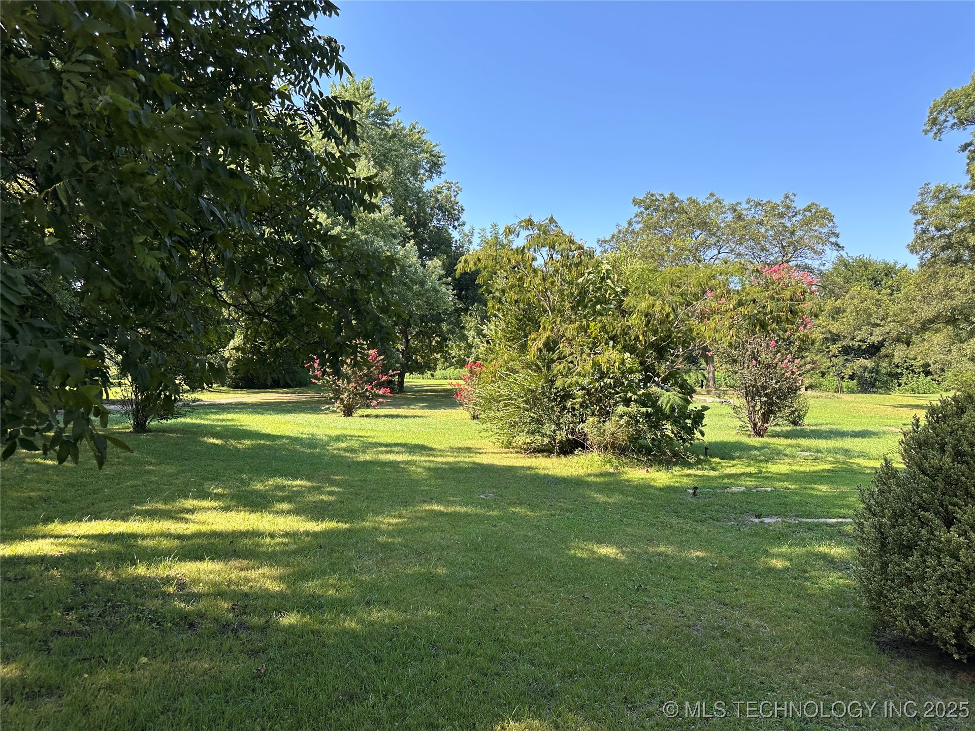 220 N Collins Property Photo 6