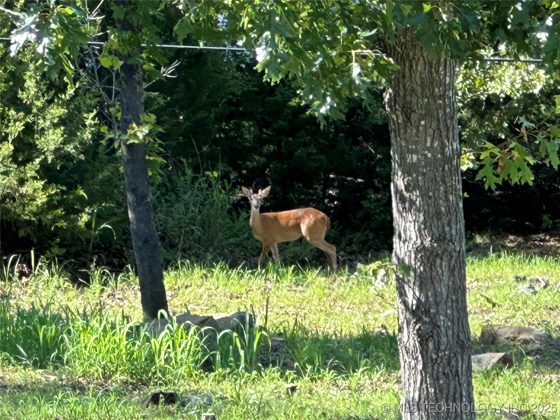 238 Keypoint Drive Property Photo 6