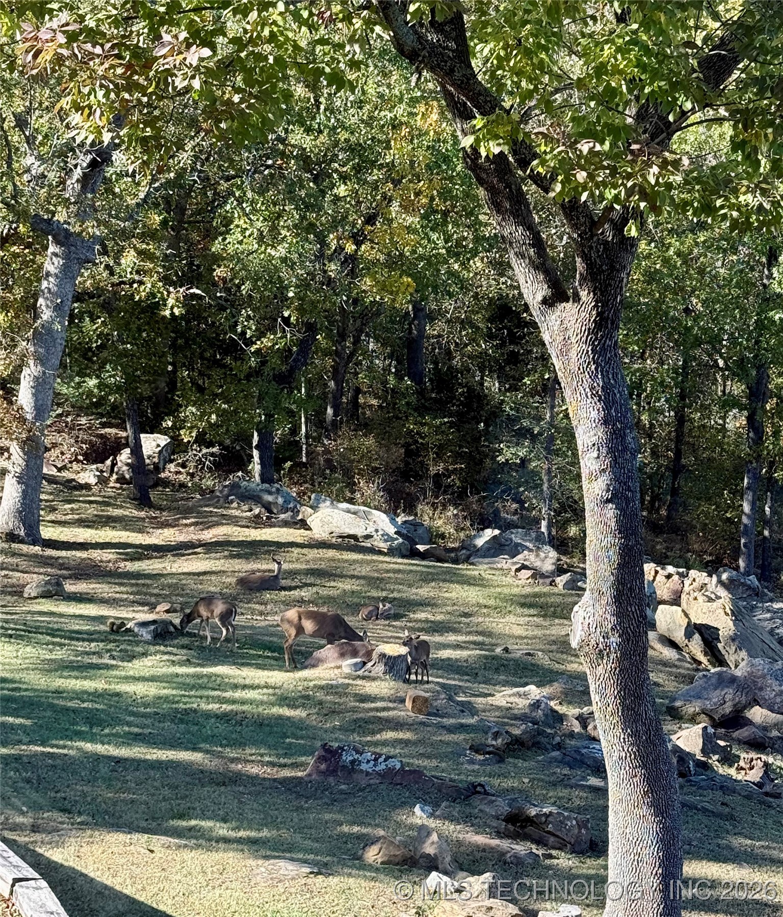 238 Keypoint Drive Property Photo 8