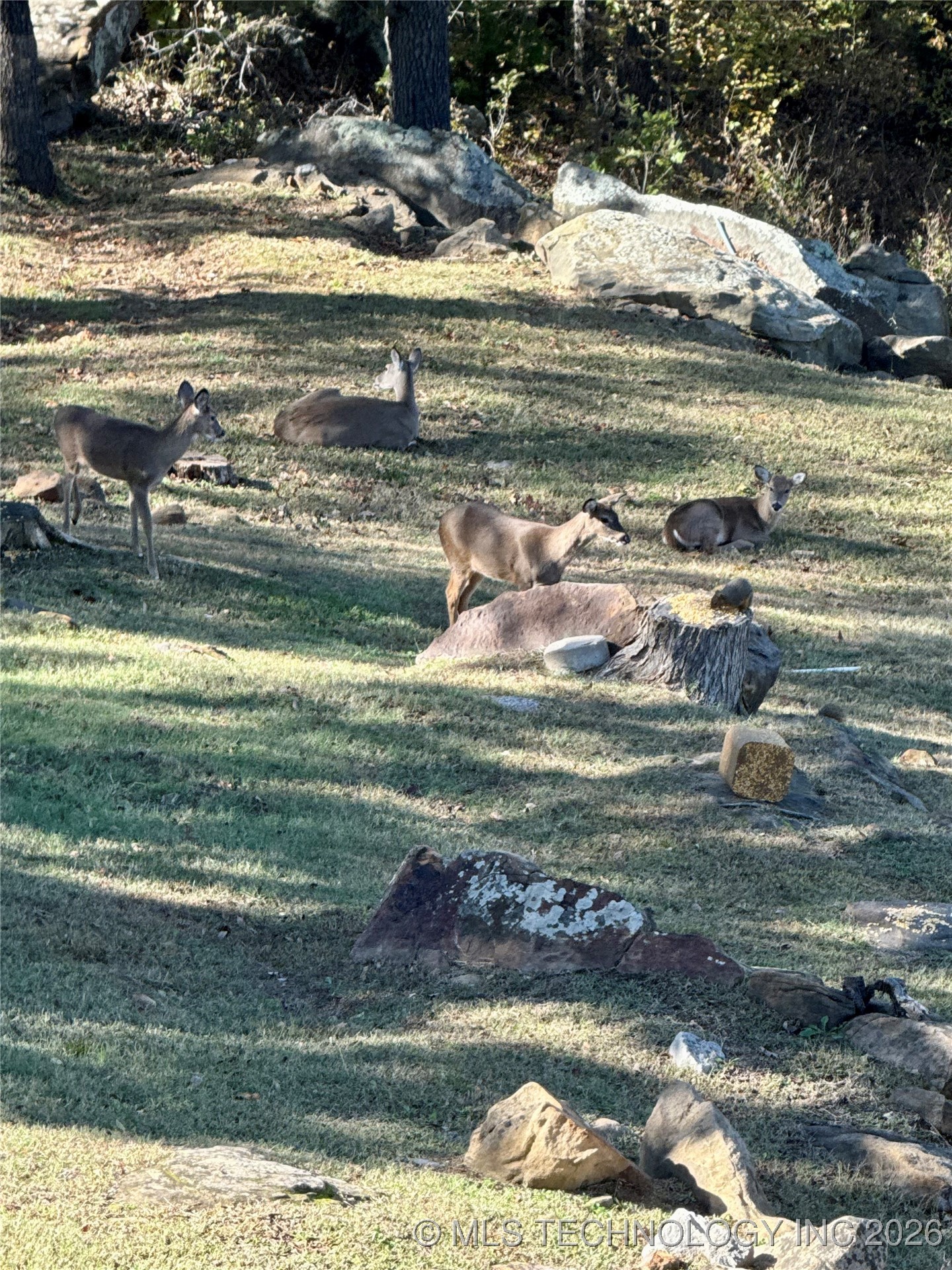 238 Keypoint Drive Property Photo 9