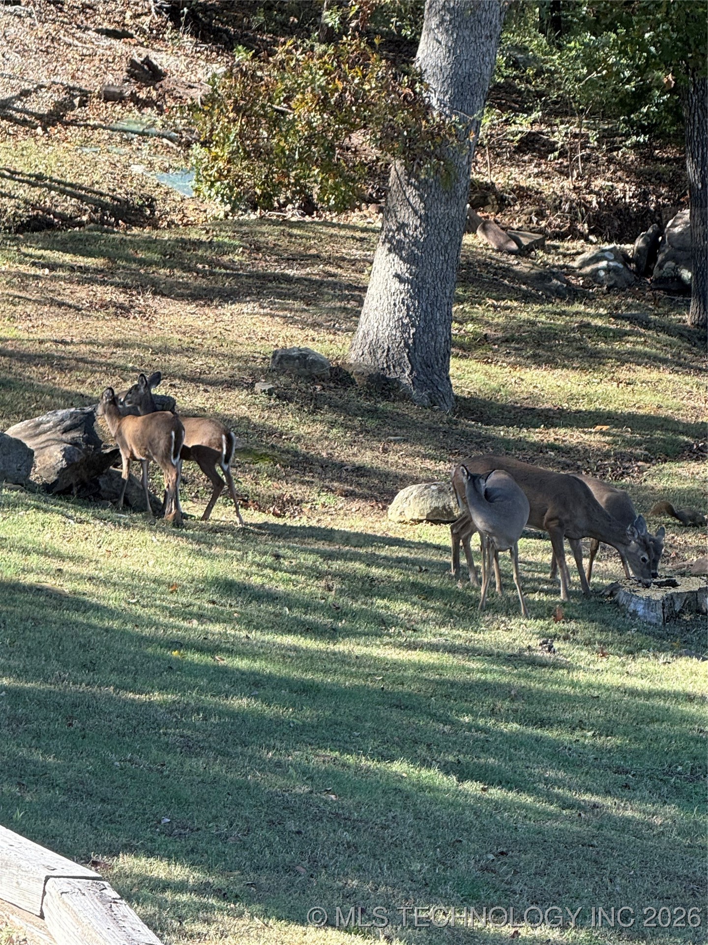 238 Keypoint Drive Property Photo 74