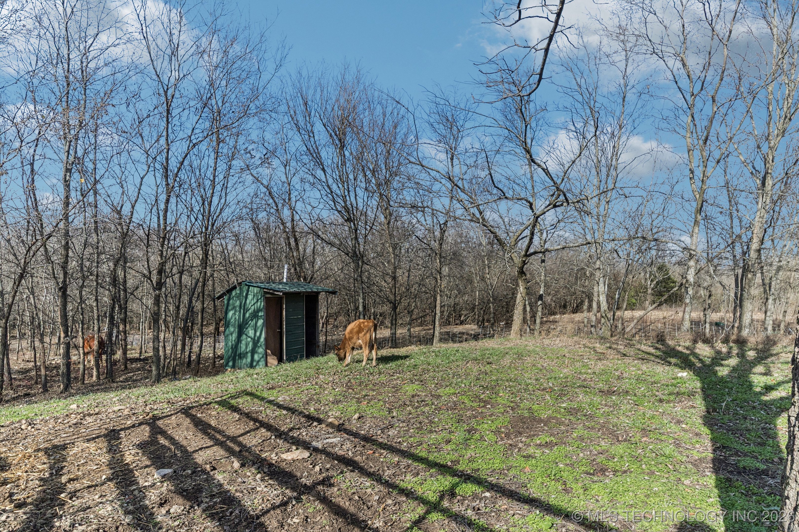 4514 S 4390 Road Property Photo 21