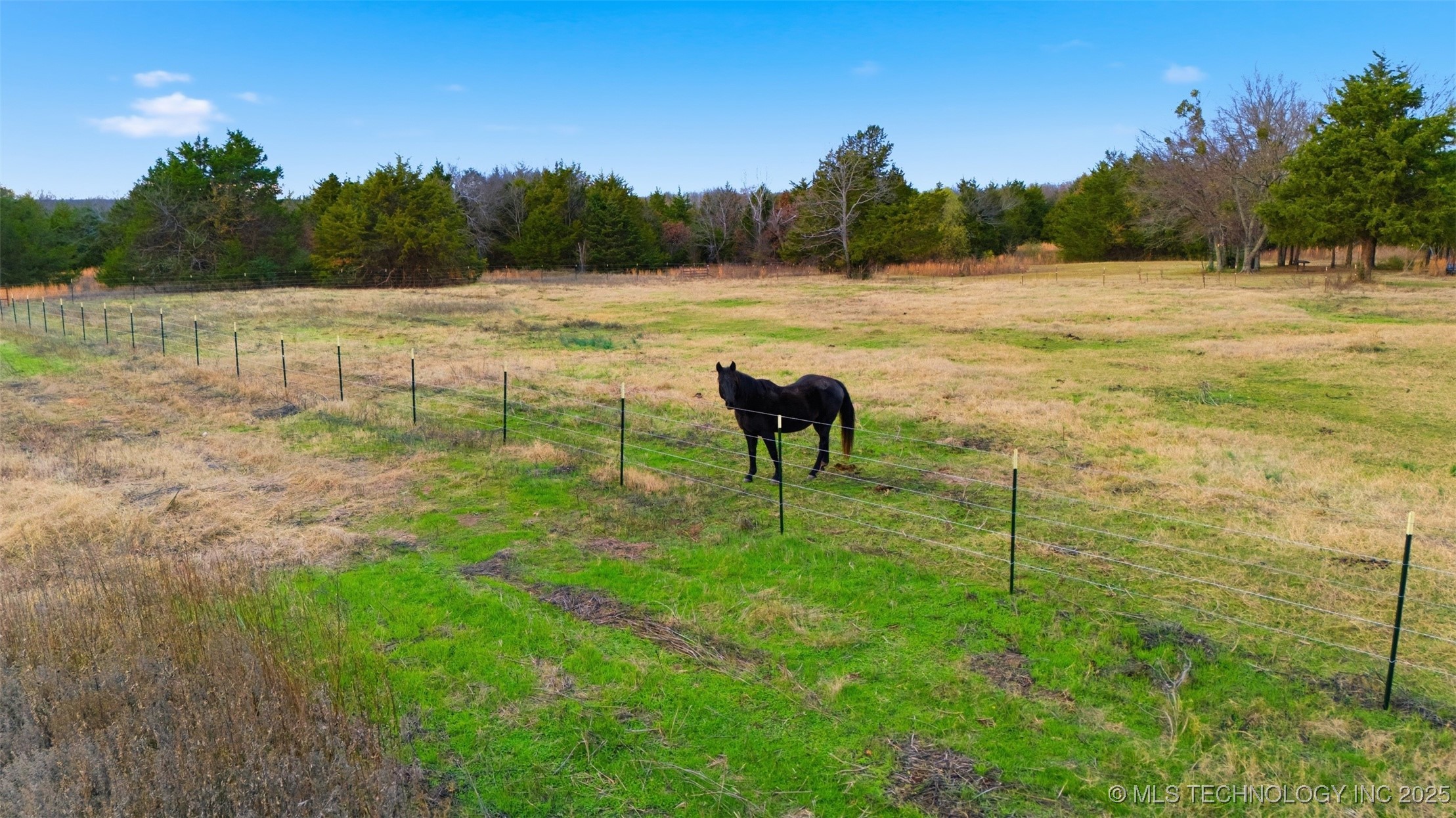 9699 County Road 3570 Property Photo 32