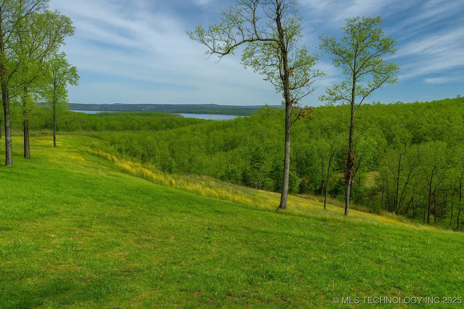 36140 S Magnolia Lane Property Photo 3