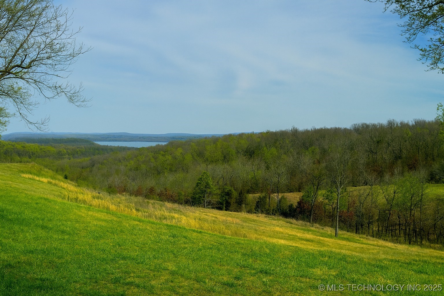 36140 S Magnolia Lane Property Photo 4