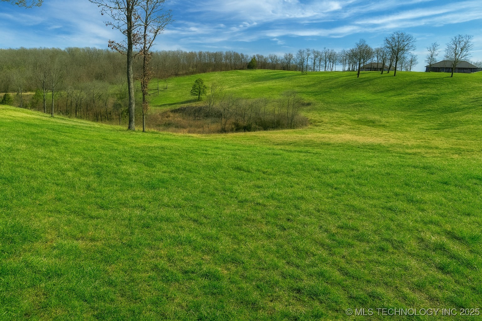 36140 S Magnolia Lane Property Photo 6