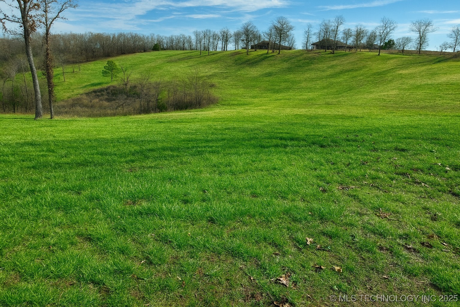 36140 S Magnolia Lane Property Photo 7