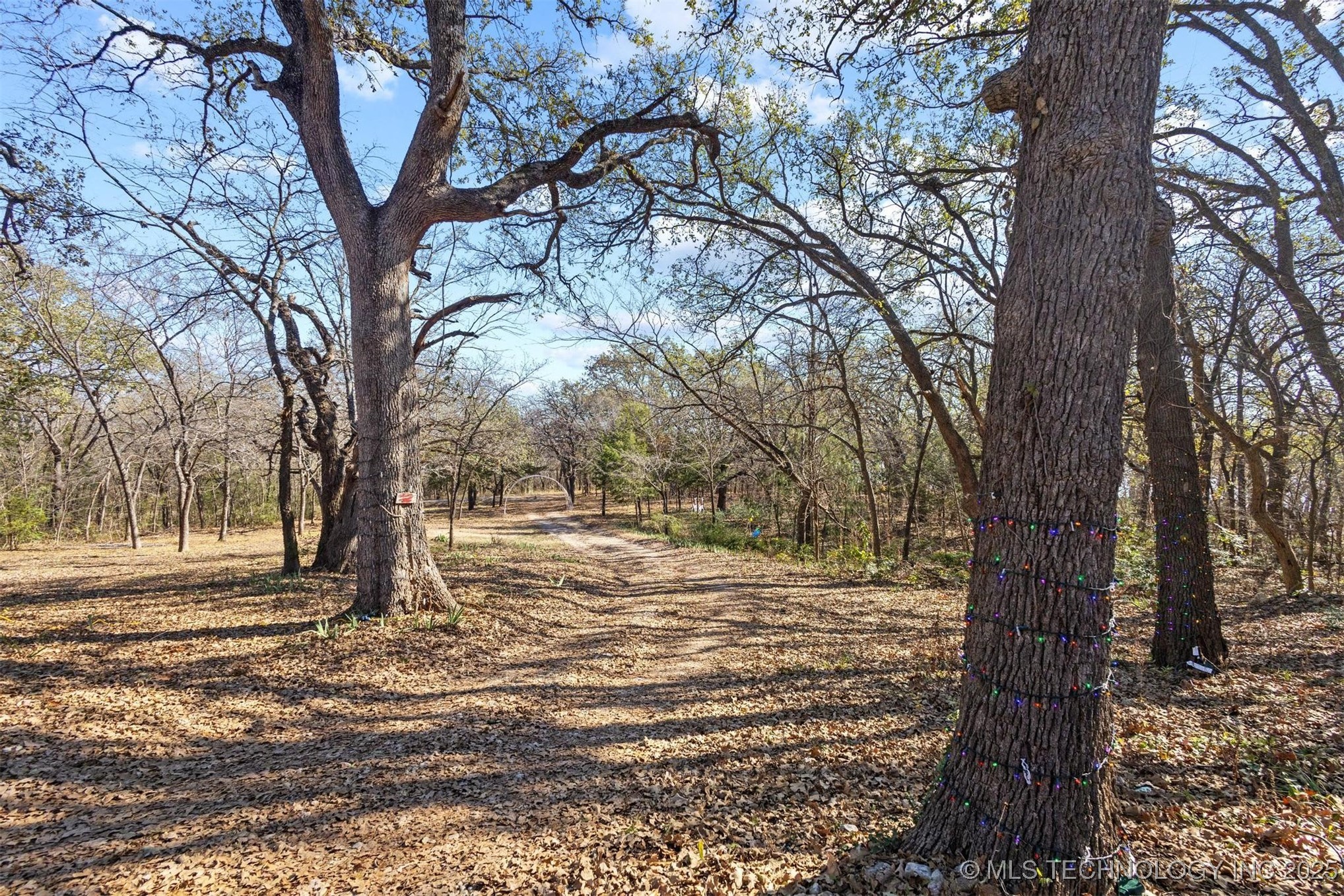 2451 E End Property Photo 12