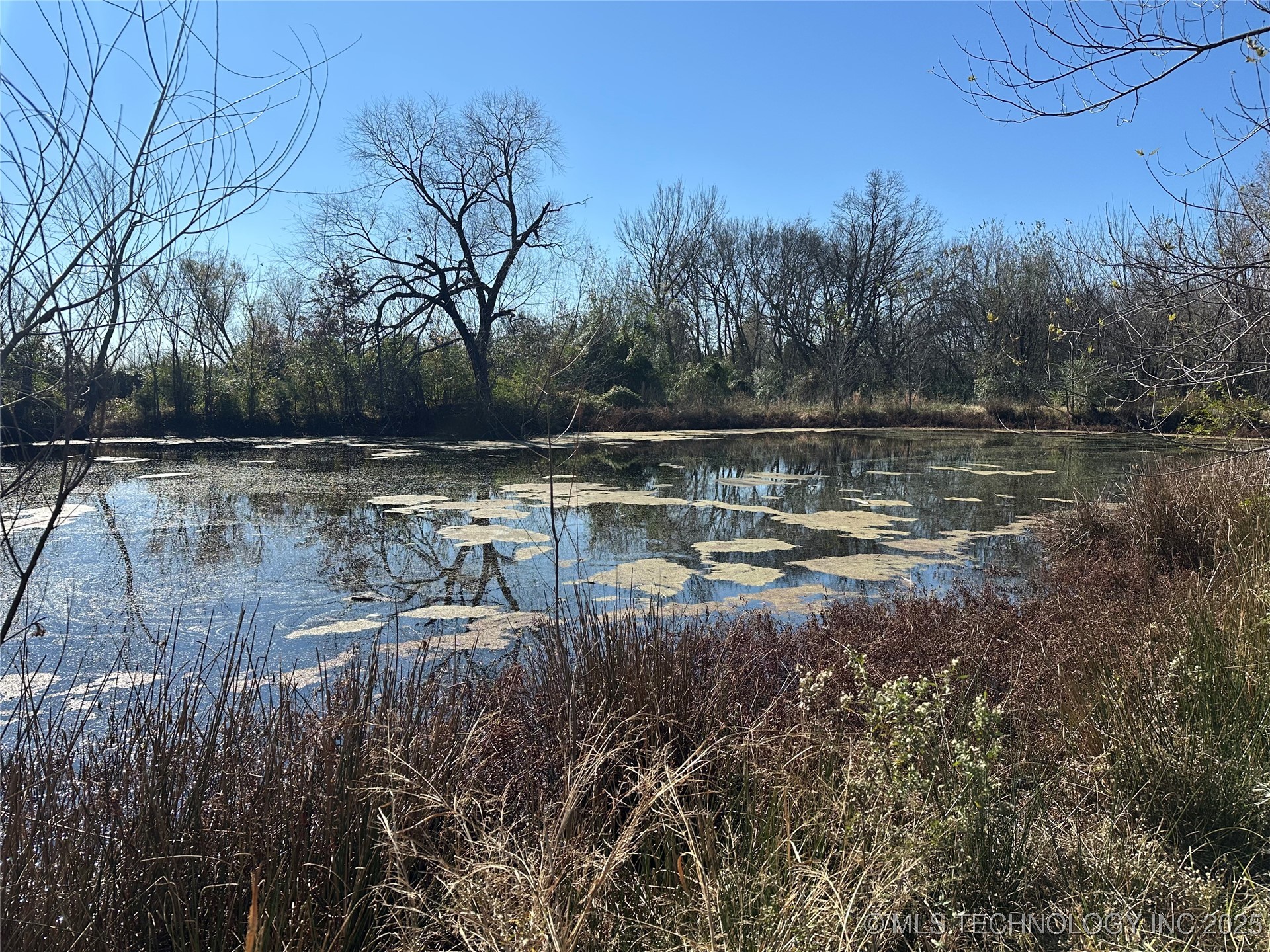 12510 Gun Club Road Property Photo 22